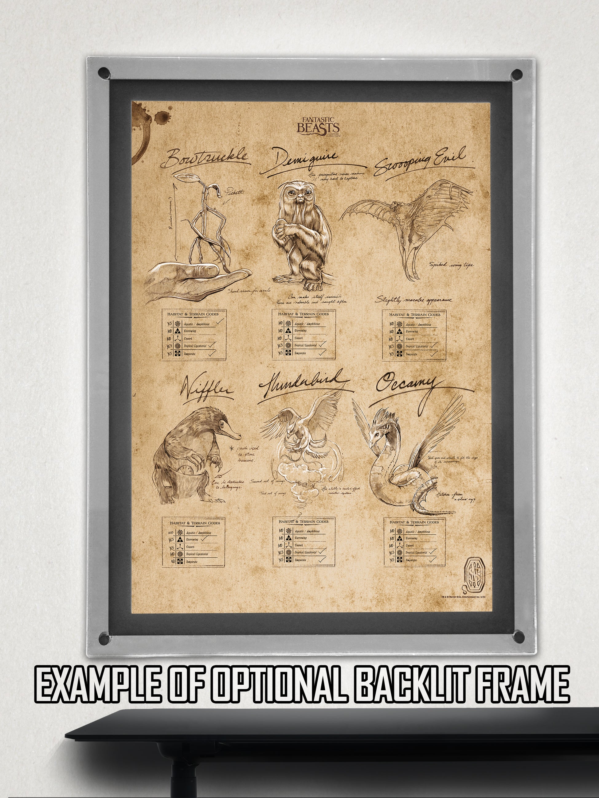 Fantastic Beasts and Where To Find Them (Beasts Sketchbook) MightyPrint™ Wall Art MP17240291