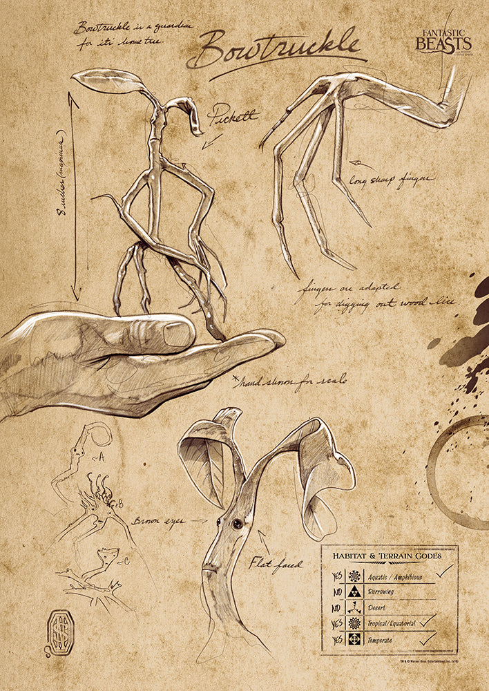 Fantastic Beasts And Where To Find Them (Bowtruckle Sketchbook) MightyPrint™ Wall Art MP17240292