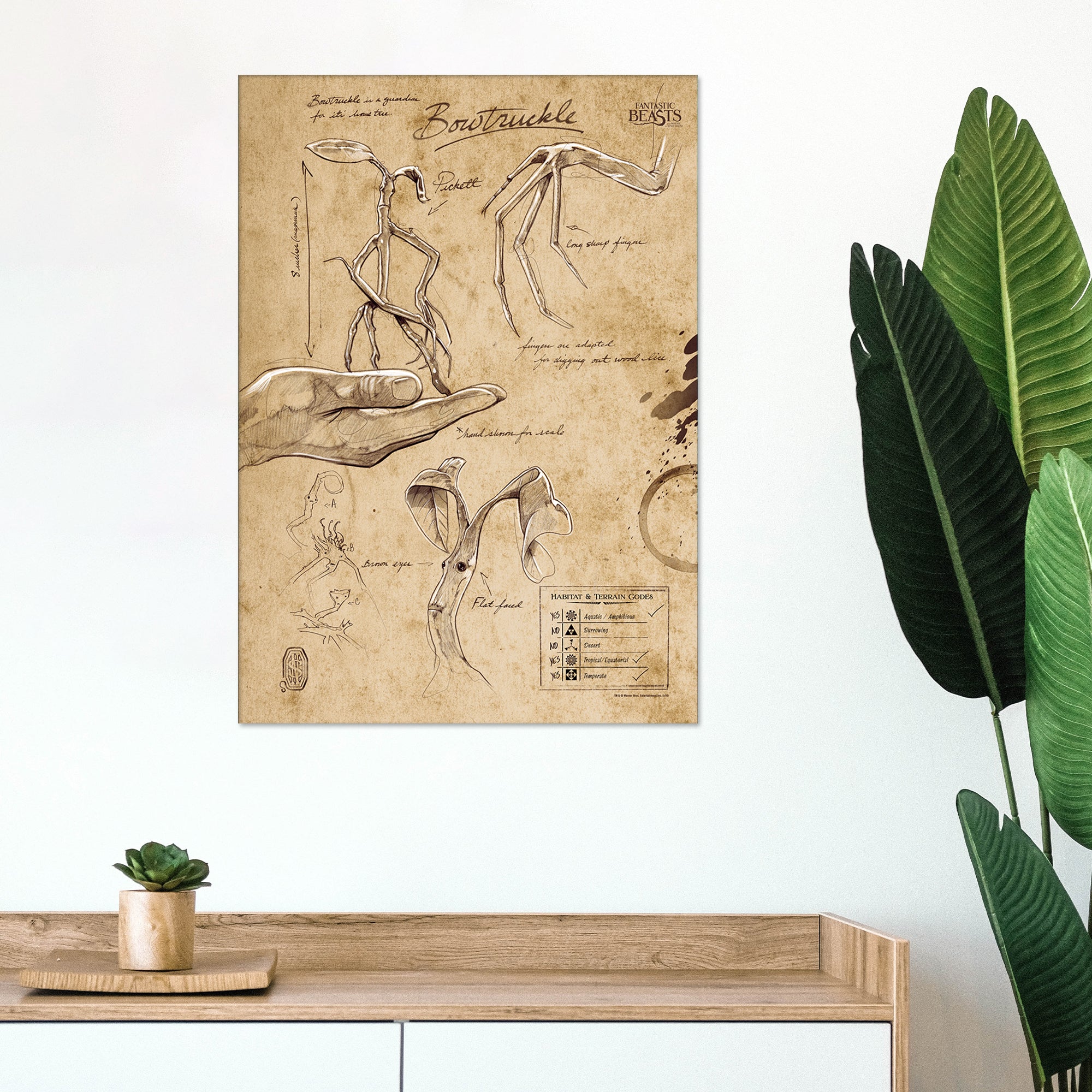 Fantastic Beasts And Where To Find Them (Bowtruckle Sketchbook) MightyPrint™ Wall Art MP17240292