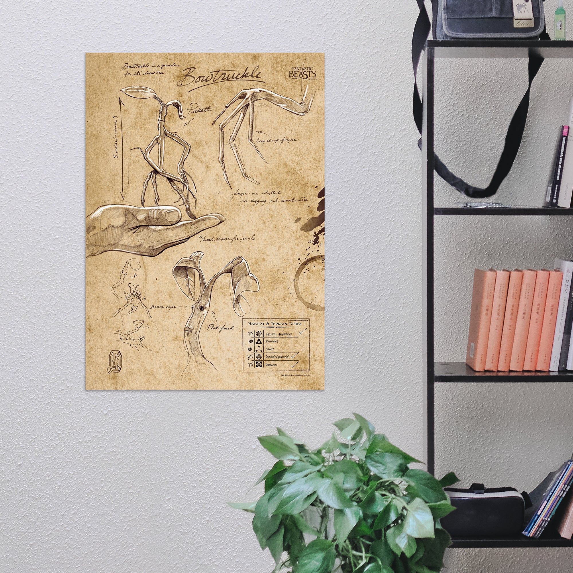 Fantastic Beasts And Where To Find Them (Bowtruckle Sketchbook) MightyPrint™ Wall Art MP17240292