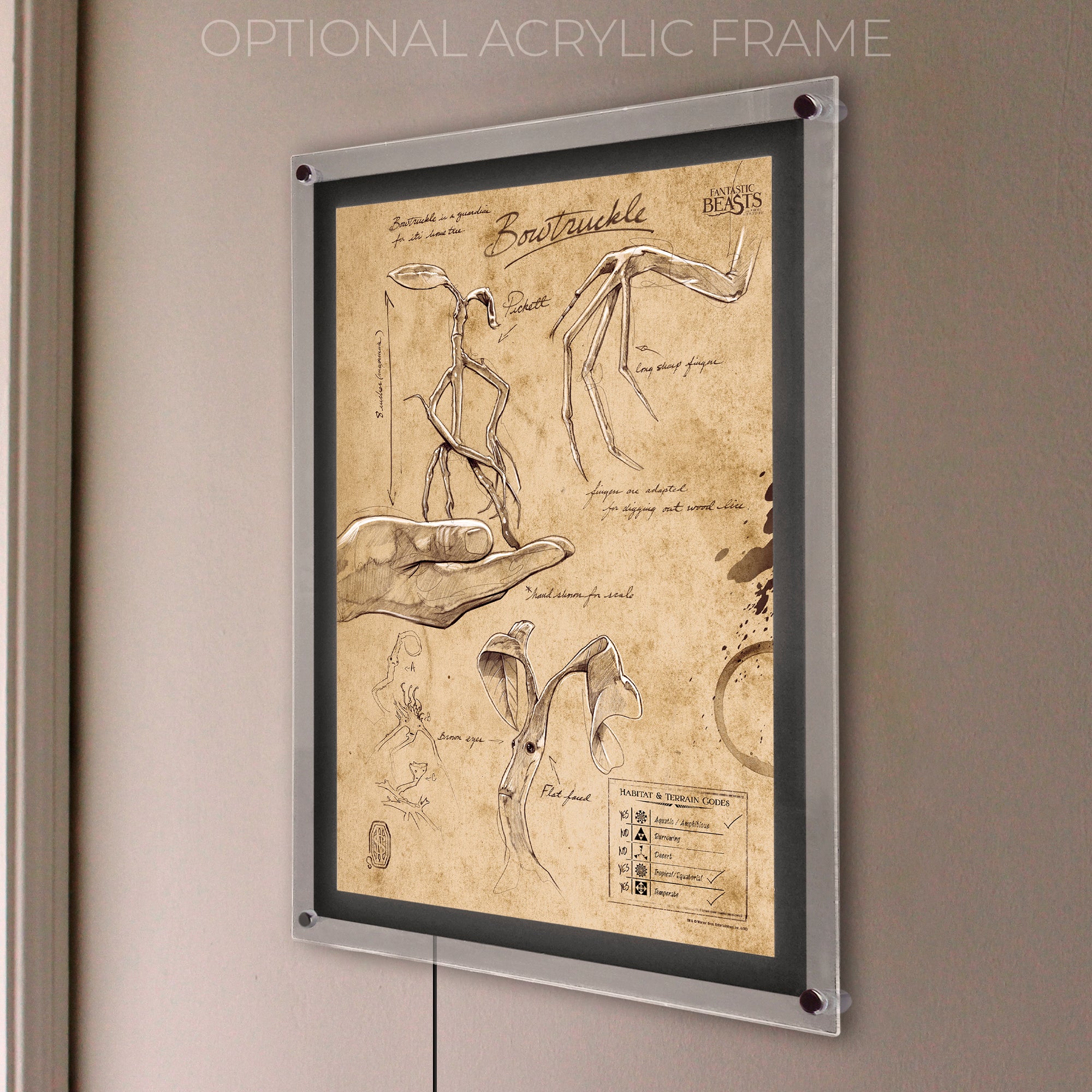 Fantastic Beasts And Where To Find Them (Bowtruckle Sketchbook) MightyPrint™ Wall Art MP17240292