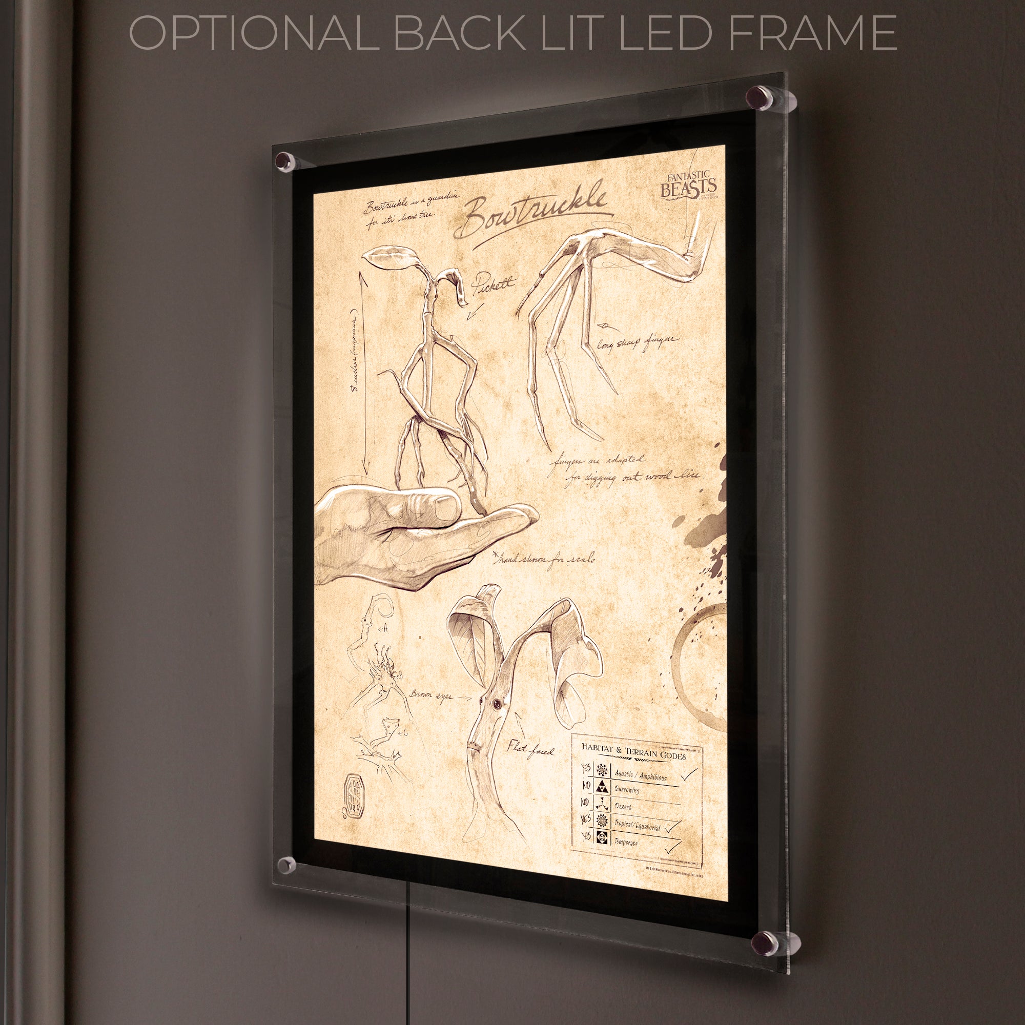 Fantastic Beasts And Where To Find Them (Bowtruckle Sketchbook) MightyPrint™ Wall Art MP17240292