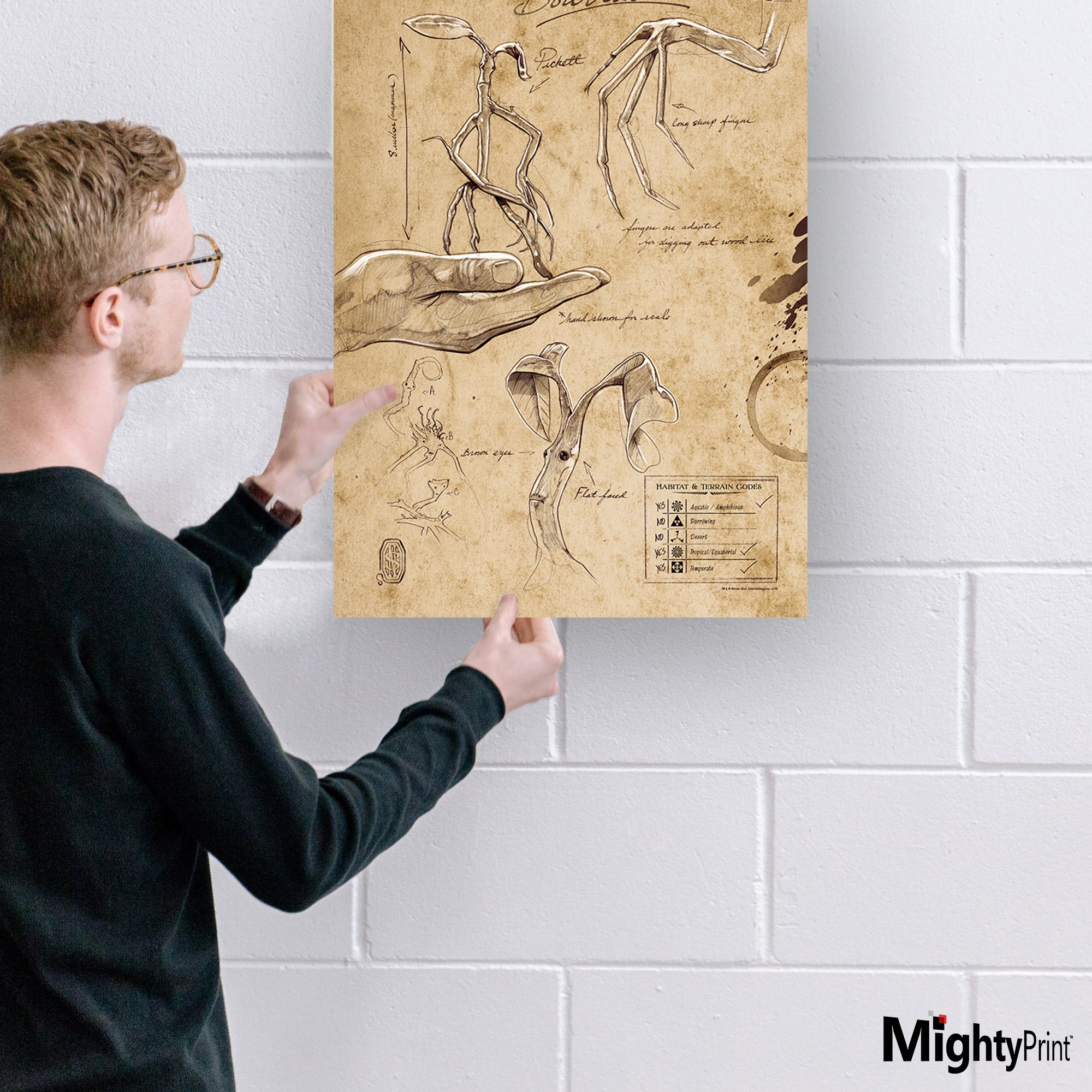 Fantastic Beasts And Where To Find Them (Bowtruckle Sketchbook) MightyPrint™ Wall Art MP17240292