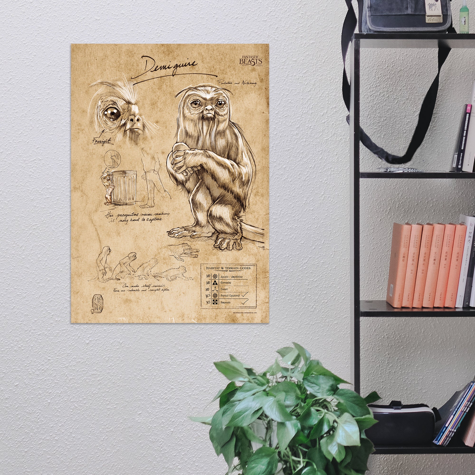 Fantastic Beasts And Where To Find Them (Demiguise Sketchbook) MightyPrint™ Wall Art MP17240293
