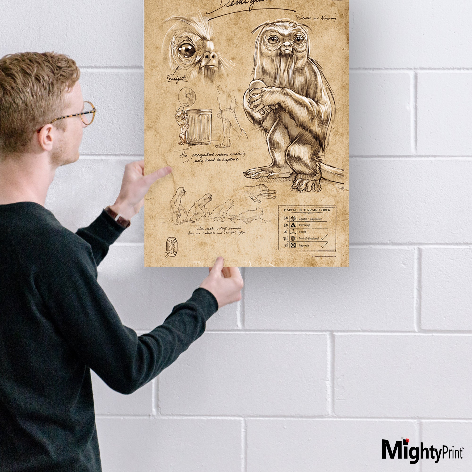 Fantastic Beasts And Where To Find Them (Demiguise Sketchbook) MightyPrint™ Wall Art MP17240293