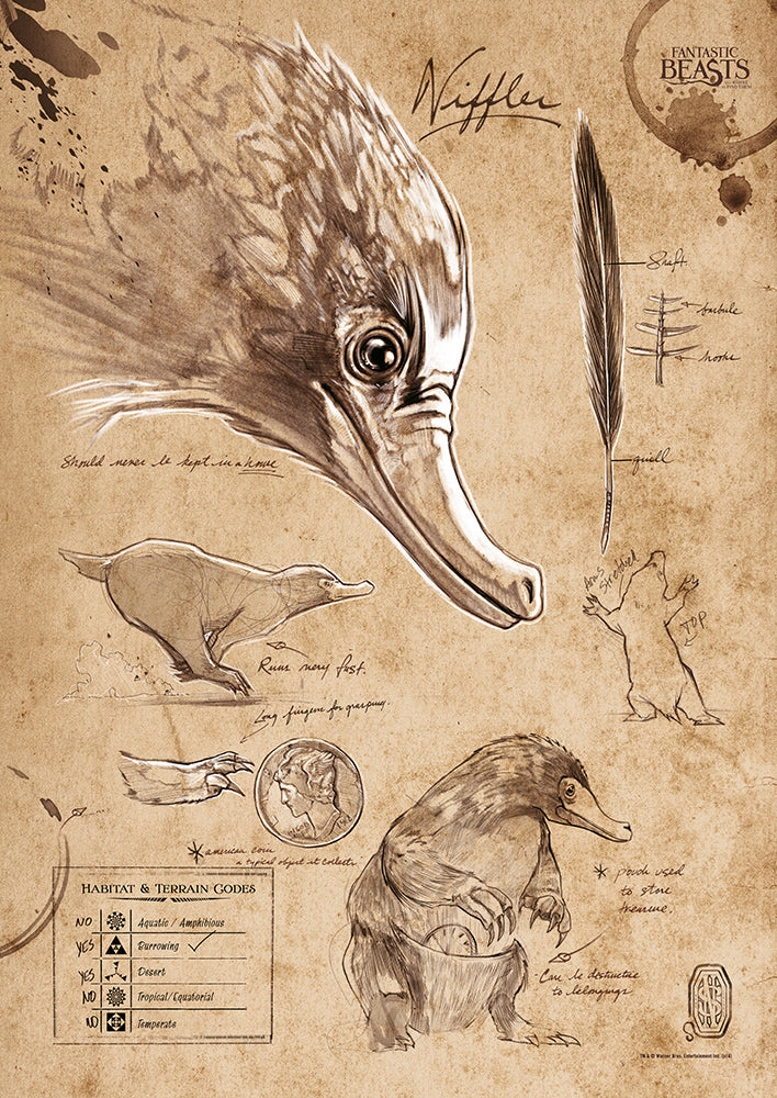 Fantastic Beasts And Where To Find Them (Niffler Sketchbook) MightyPrint™ Wall Art MP17240294