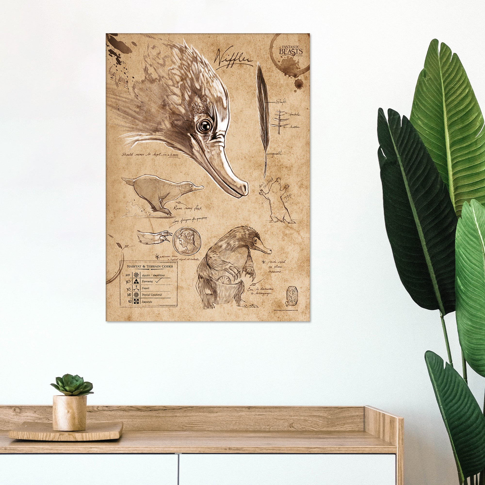 Fantastic Beasts And Where To Find Them (Niffler Sketchbook) MightyPrint™ Wall Art MP17240294