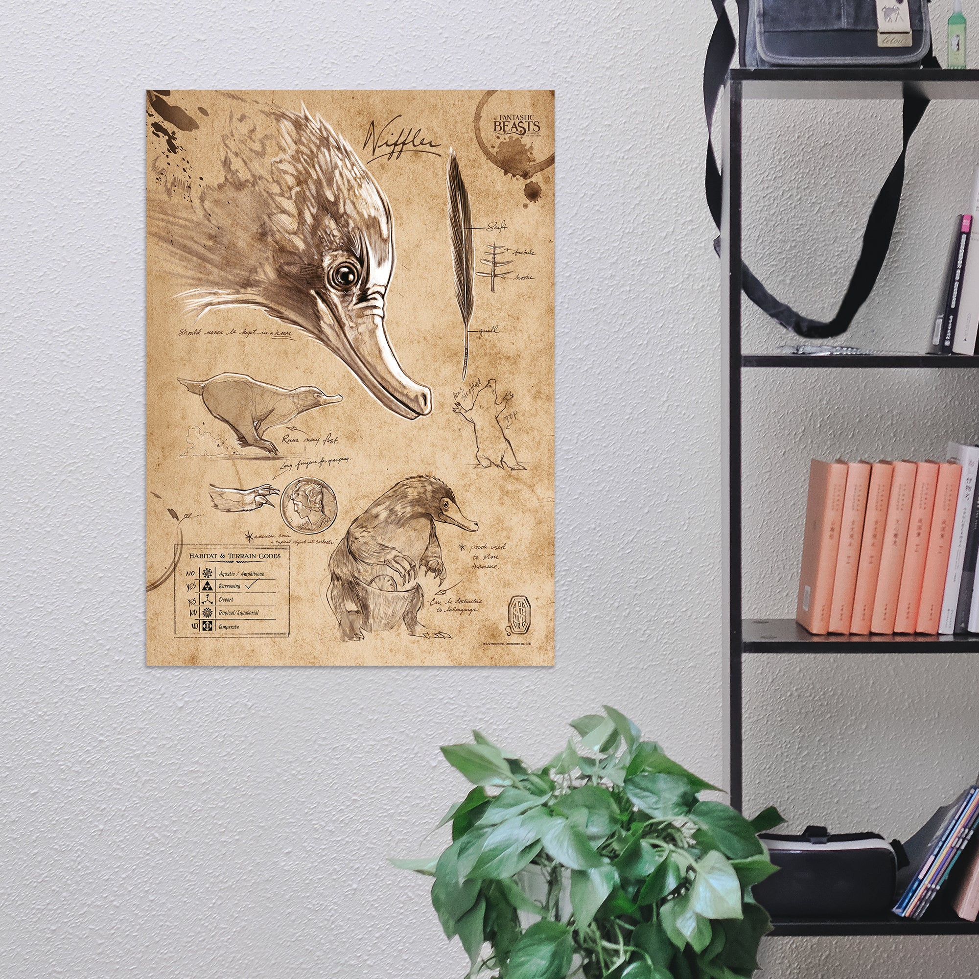 Fantastic Beasts And Where To Find Them (Niffler Sketchbook) MightyPrint™ Wall Art MP17240294