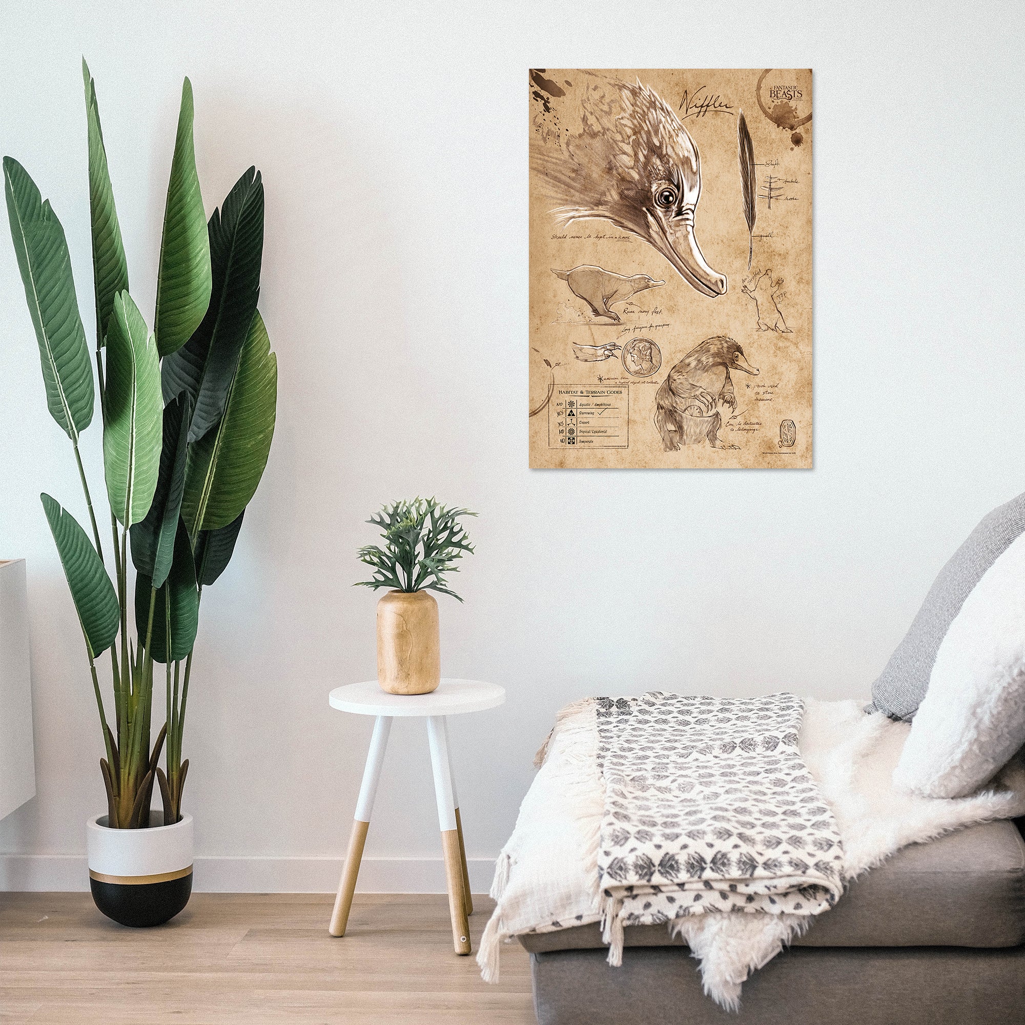 Fantastic Beasts And Where To Find Them (Niffler Sketchbook) MightyPrint™ Wall Art MP17240294