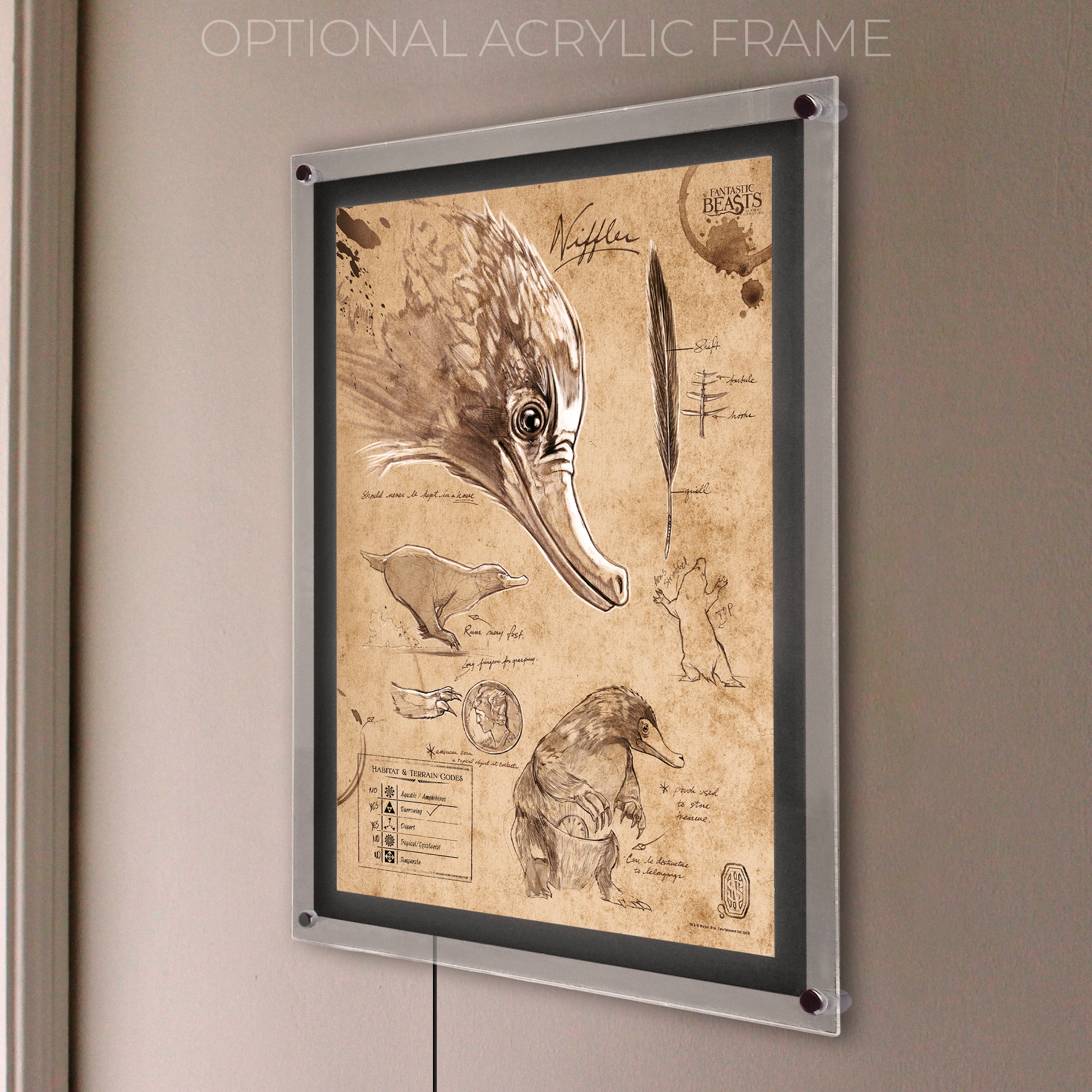 Fantastic Beasts And Where To Find Them (Niffler Sketchbook) MightyPrint™ Wall Art MP17240294