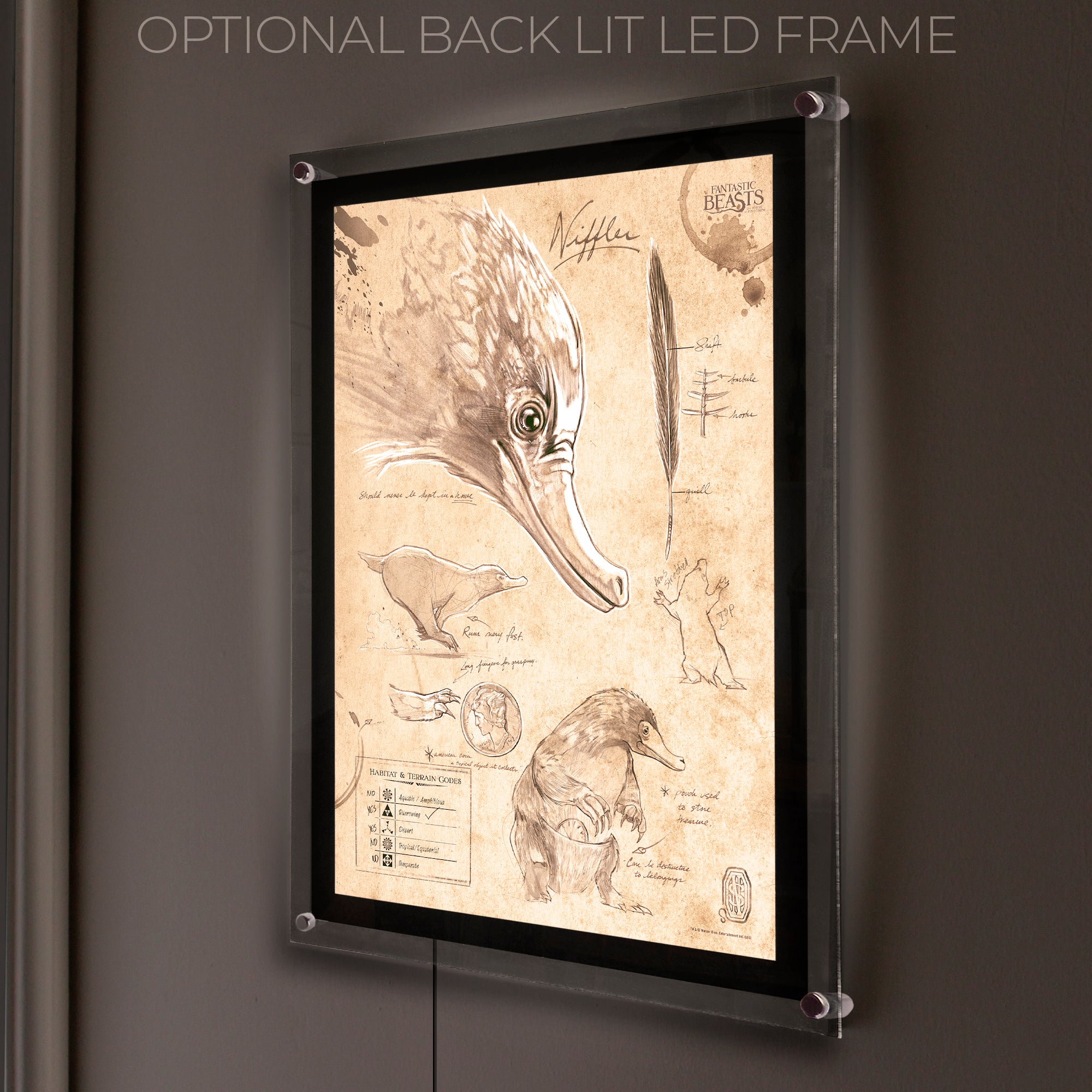 Fantastic Beasts And Where To Find Them (Niffler Sketchbook) MightyPrint™ Wall Art MP17240294