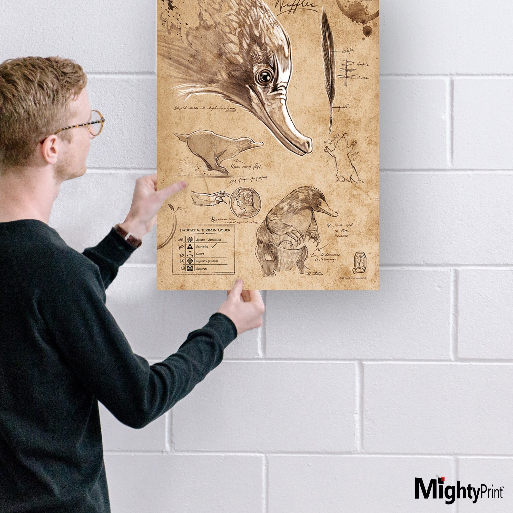 Fantastic Beasts And Where To Find Them (Niffler Sketchbook) MightyPrint™ Wall Art MP17240294
