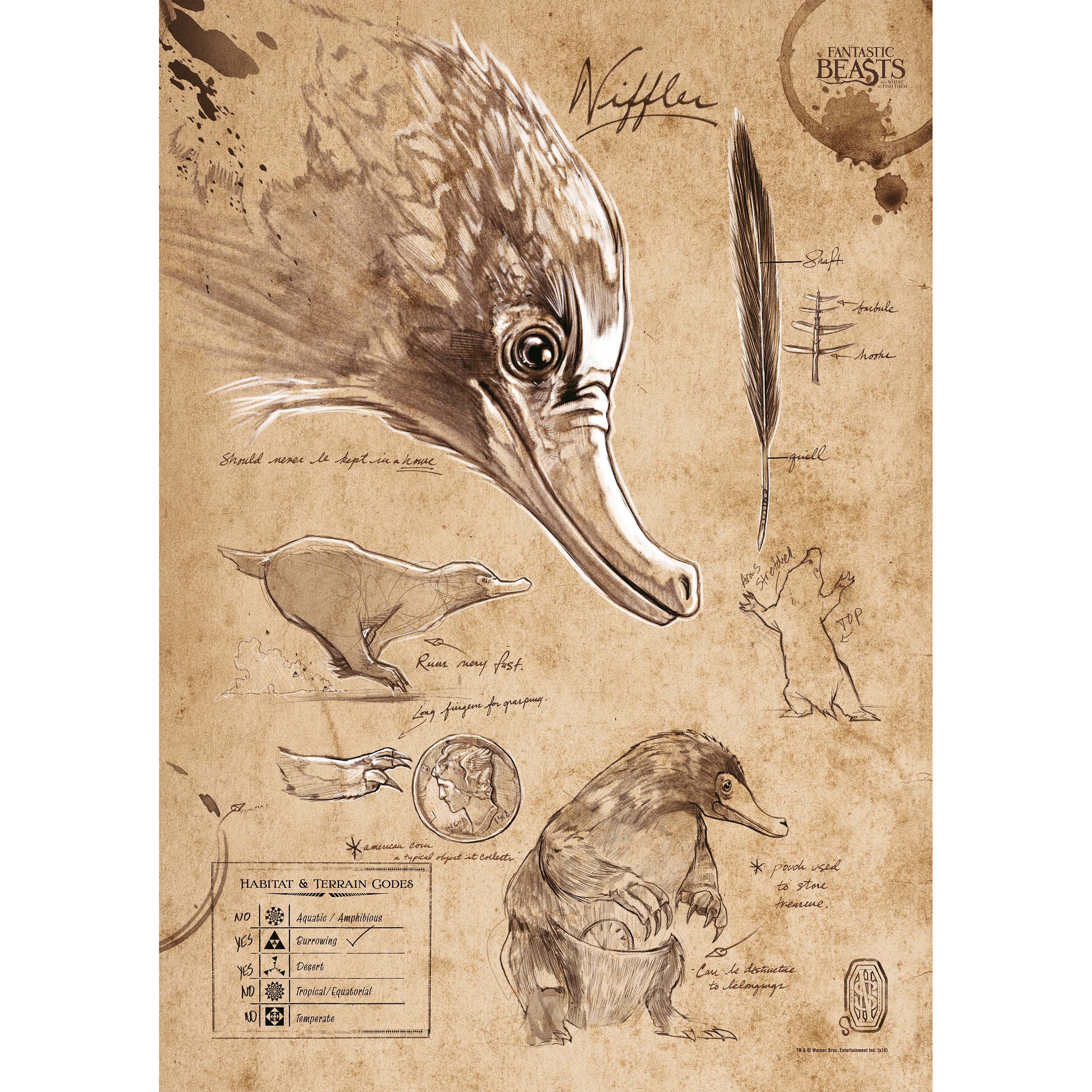 Fantastic Beasts And Where To Find Them (Niffler Sketchbook) MightyPrint™ Wall Art MP17240294