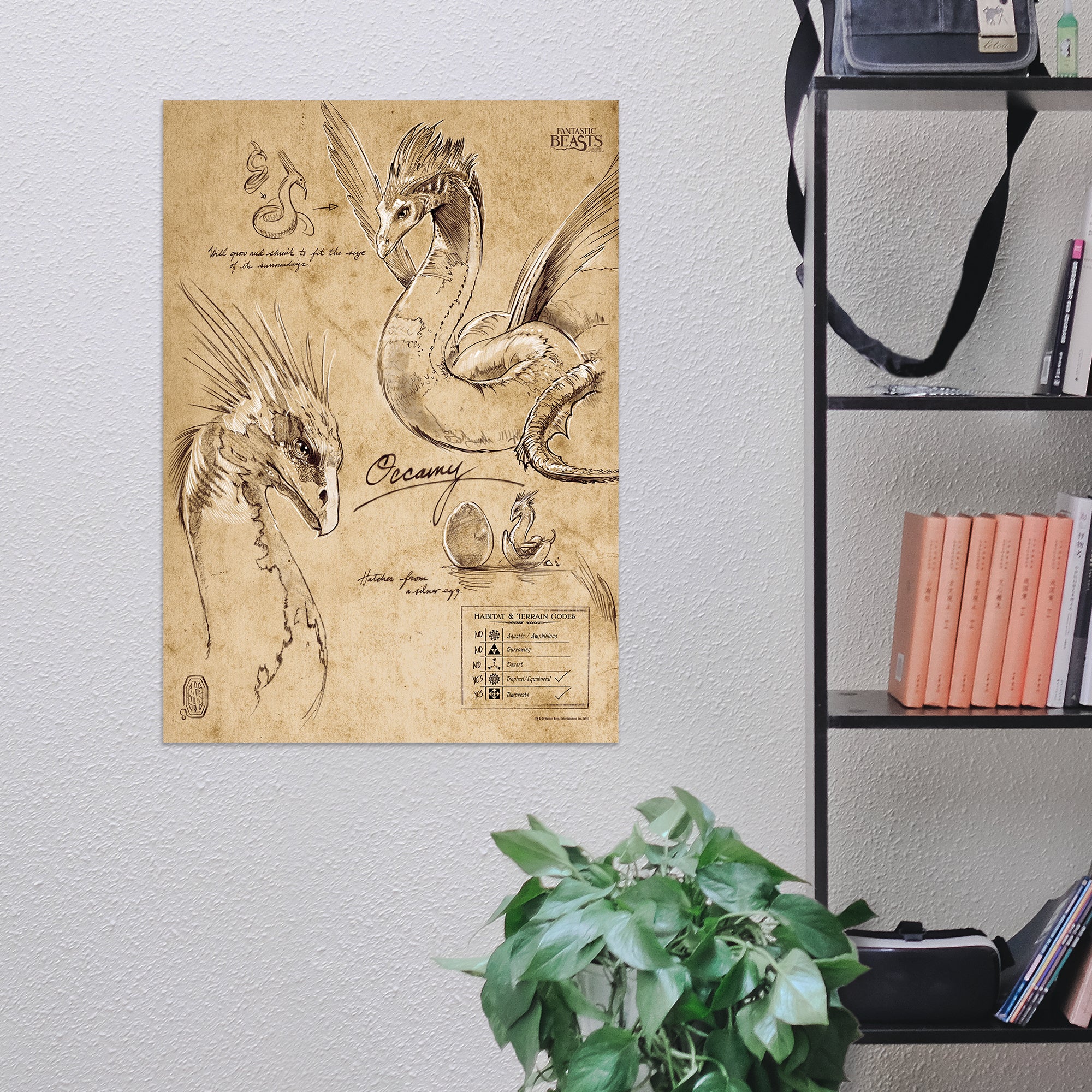 Fantastic Beasts And Where To Find Them (Occamy Sketchbook) MightyPrint™ Wall Art MP17240295