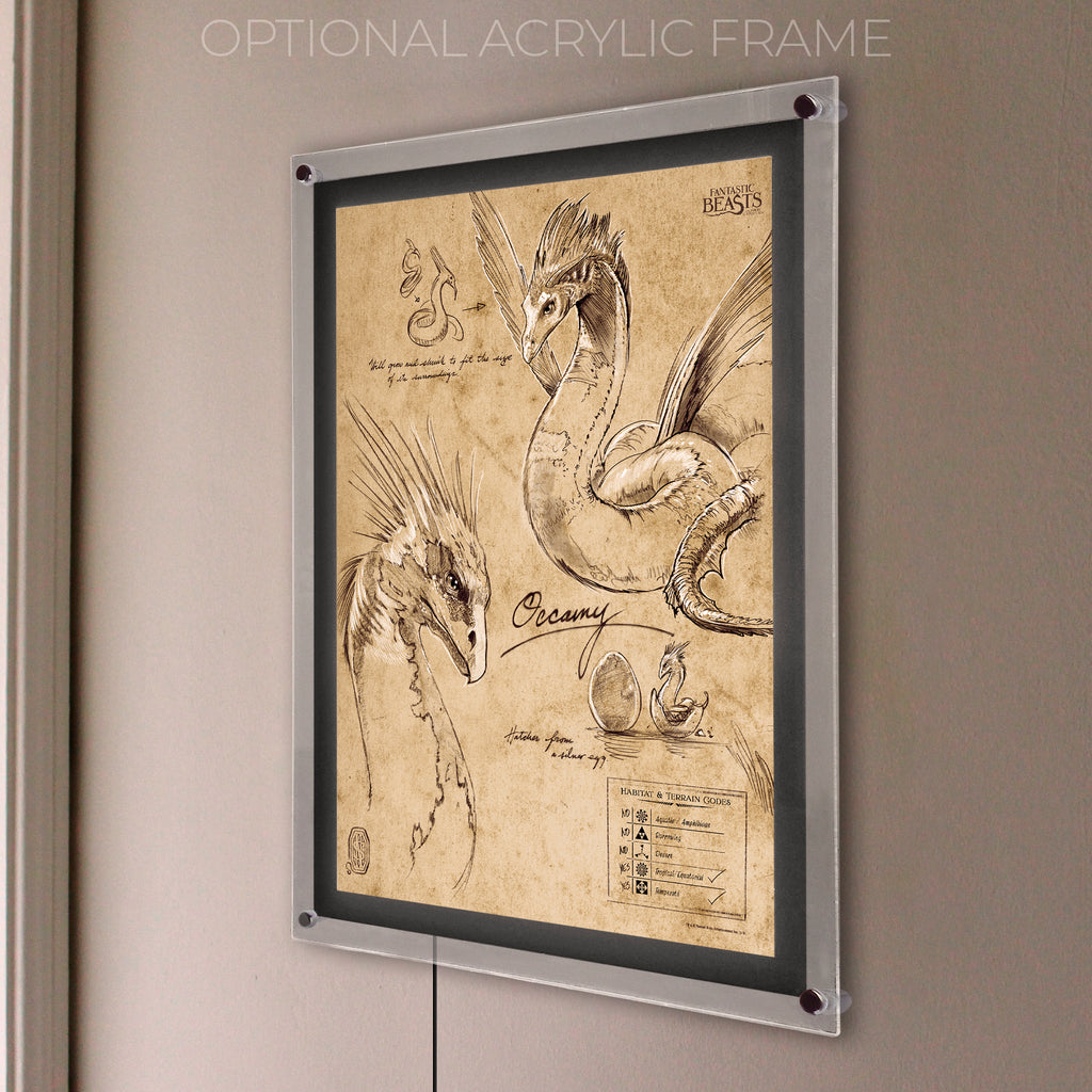 Fantastic Beasts And Where To Find Them (Occamy Sketchbook) MightyPrint™ Wall Art MP17240295