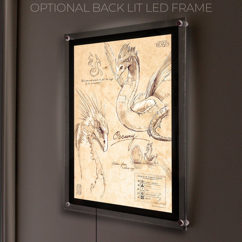 Fantastic Beasts And Where To Find Them (Occamy Sketchbook) MightyPrint™ Wall Art MP17240295