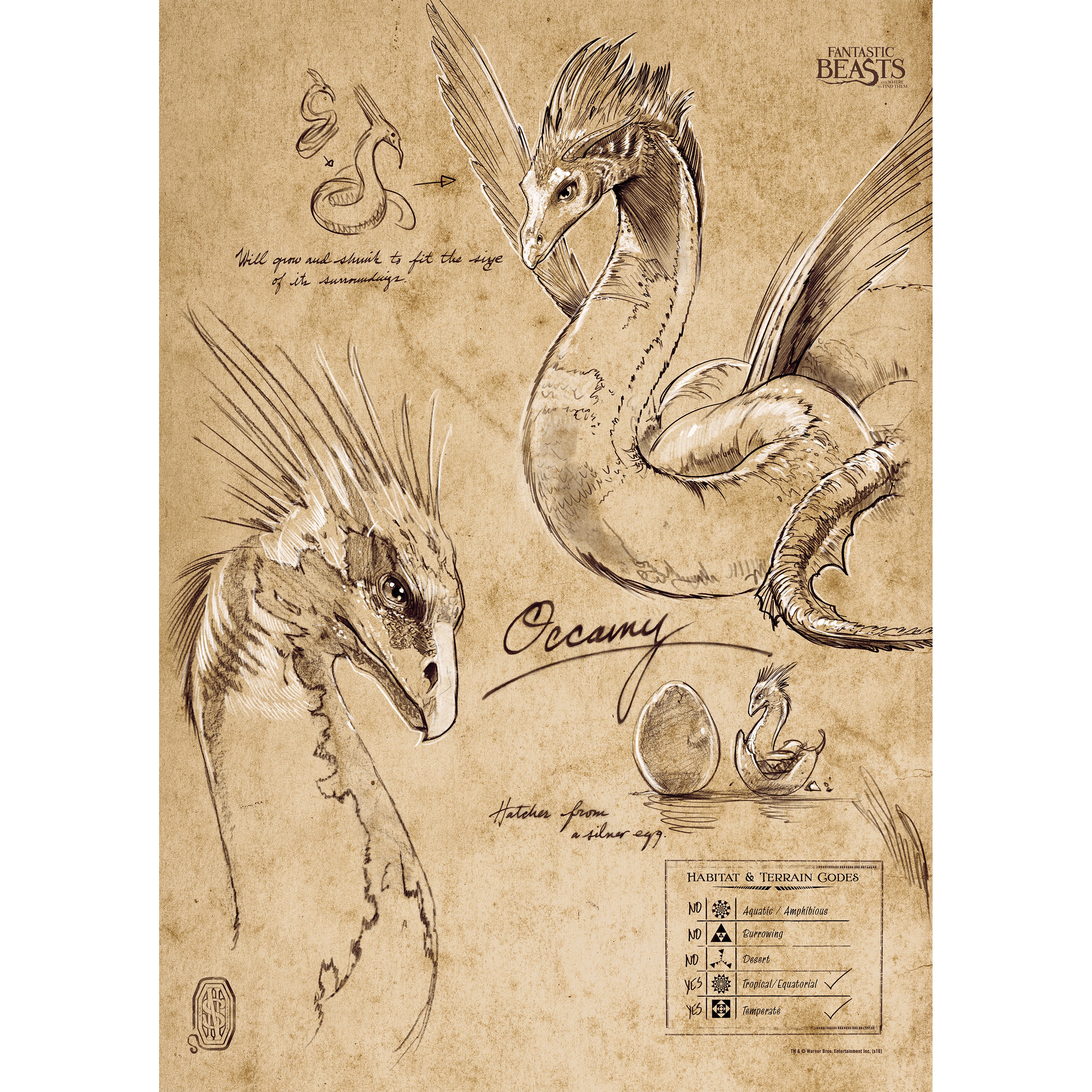 Fantastic Beasts And Where To Find Them (Occamy Sketchbook) MightyPrint™ Wall Art MP17240295