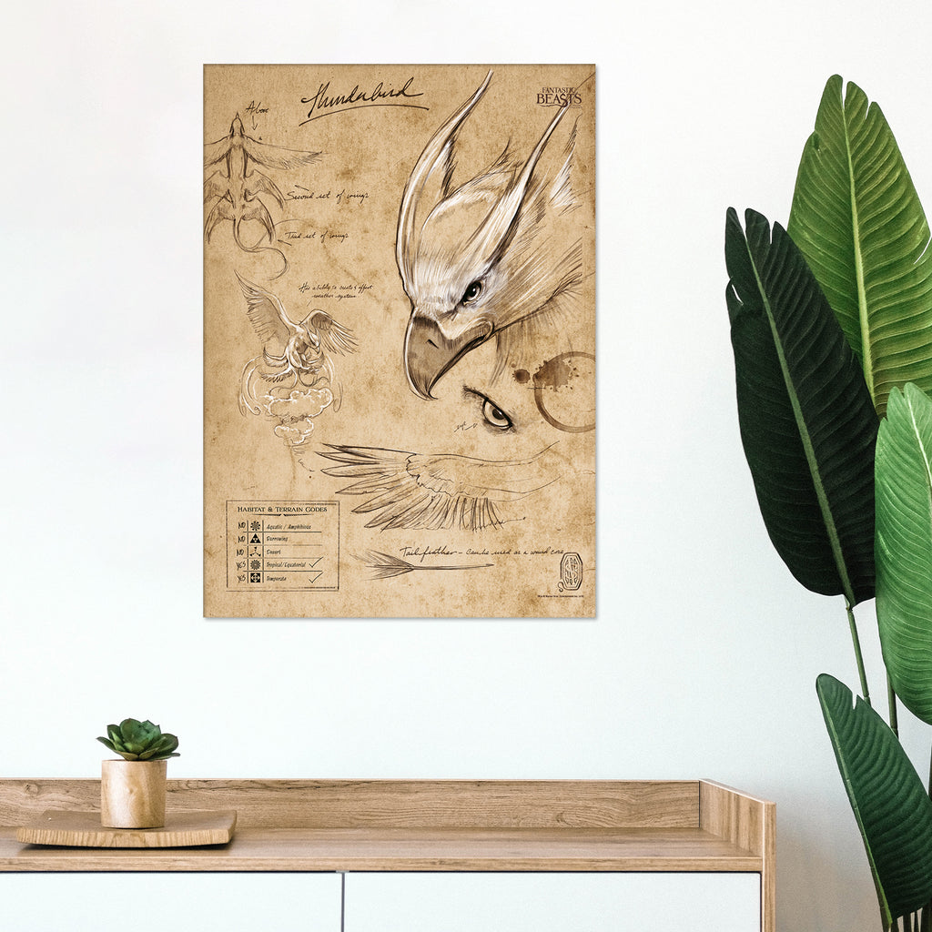 Fantastic Beasts And Where To Find Them (Thunderbird Sketchbook) MightyPrint™ Wall Art MP17240296