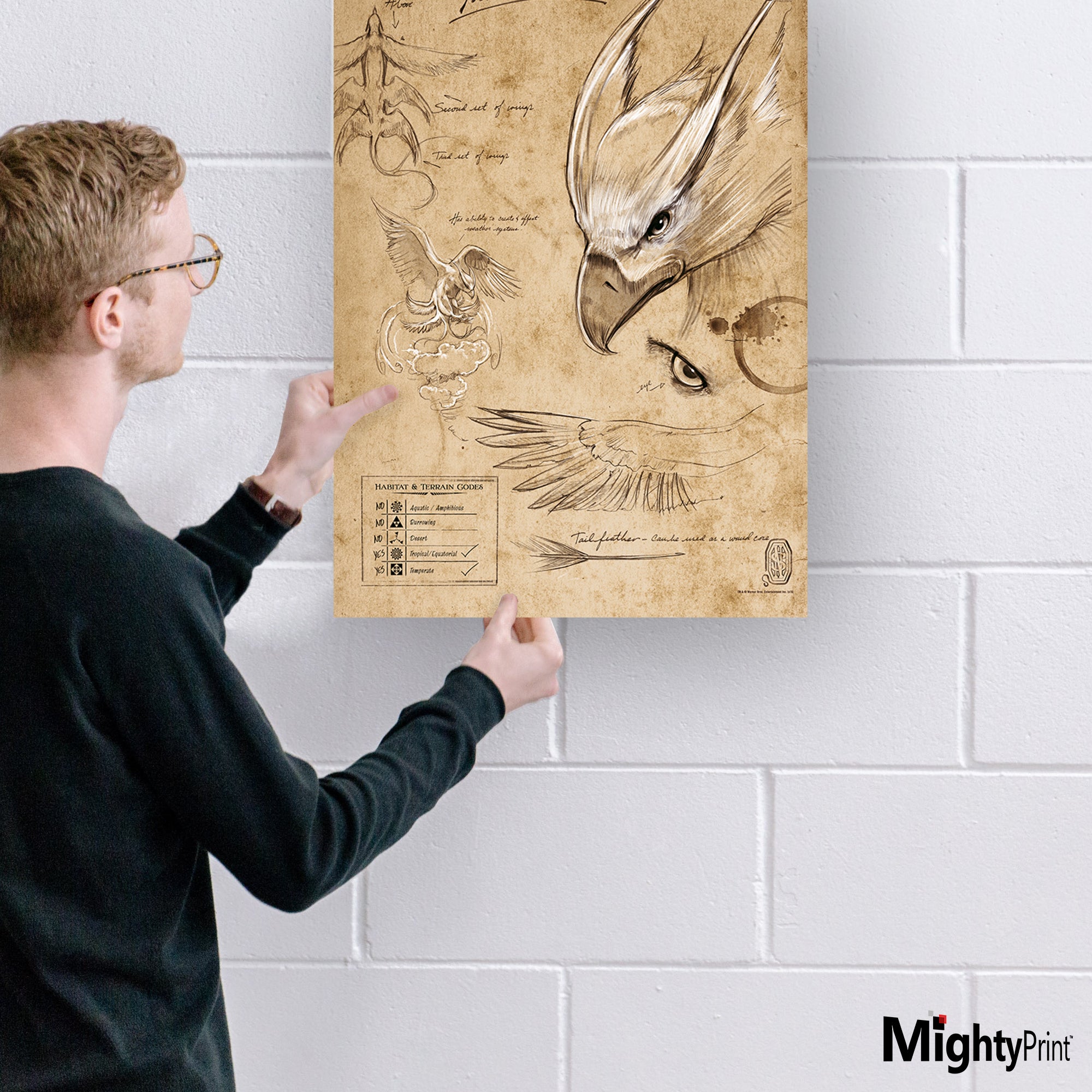 Fantastic Beasts And Where To Find Them (Thunderbird Sketchbook) MightyPrint™ Wall Art MP17240296