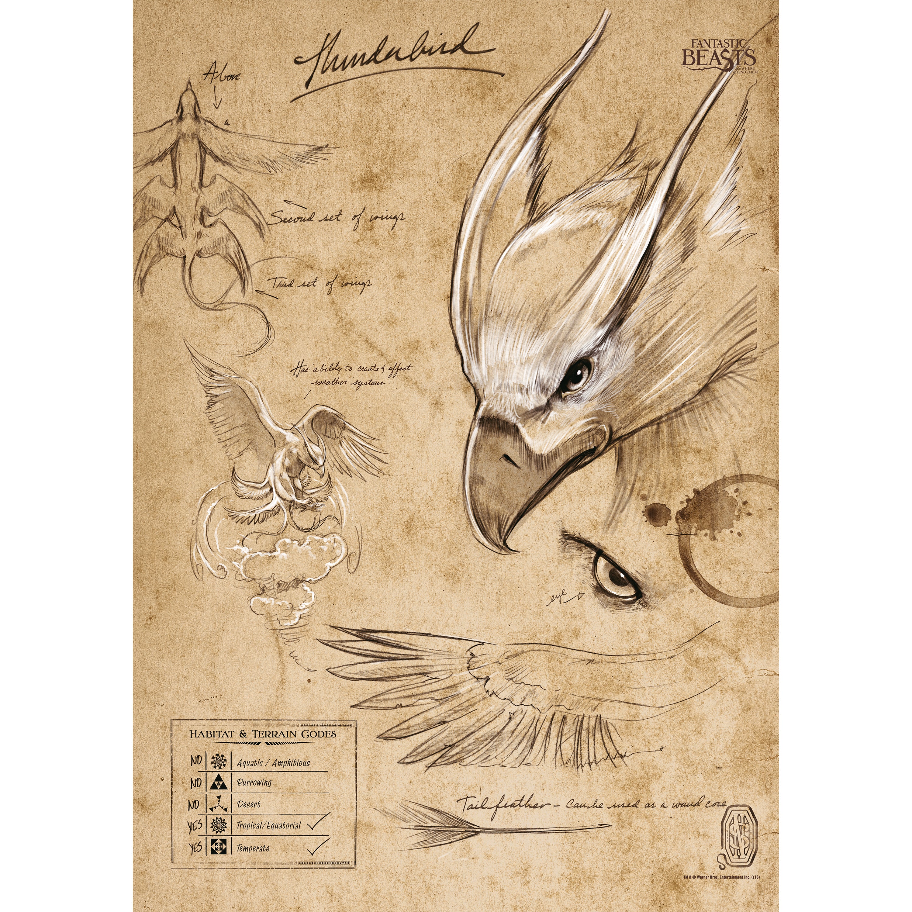 Fantastic Beasts And Where To Find Them (Thunderbird Sketchbook) MightyPrint™ Wall Art MP17240296