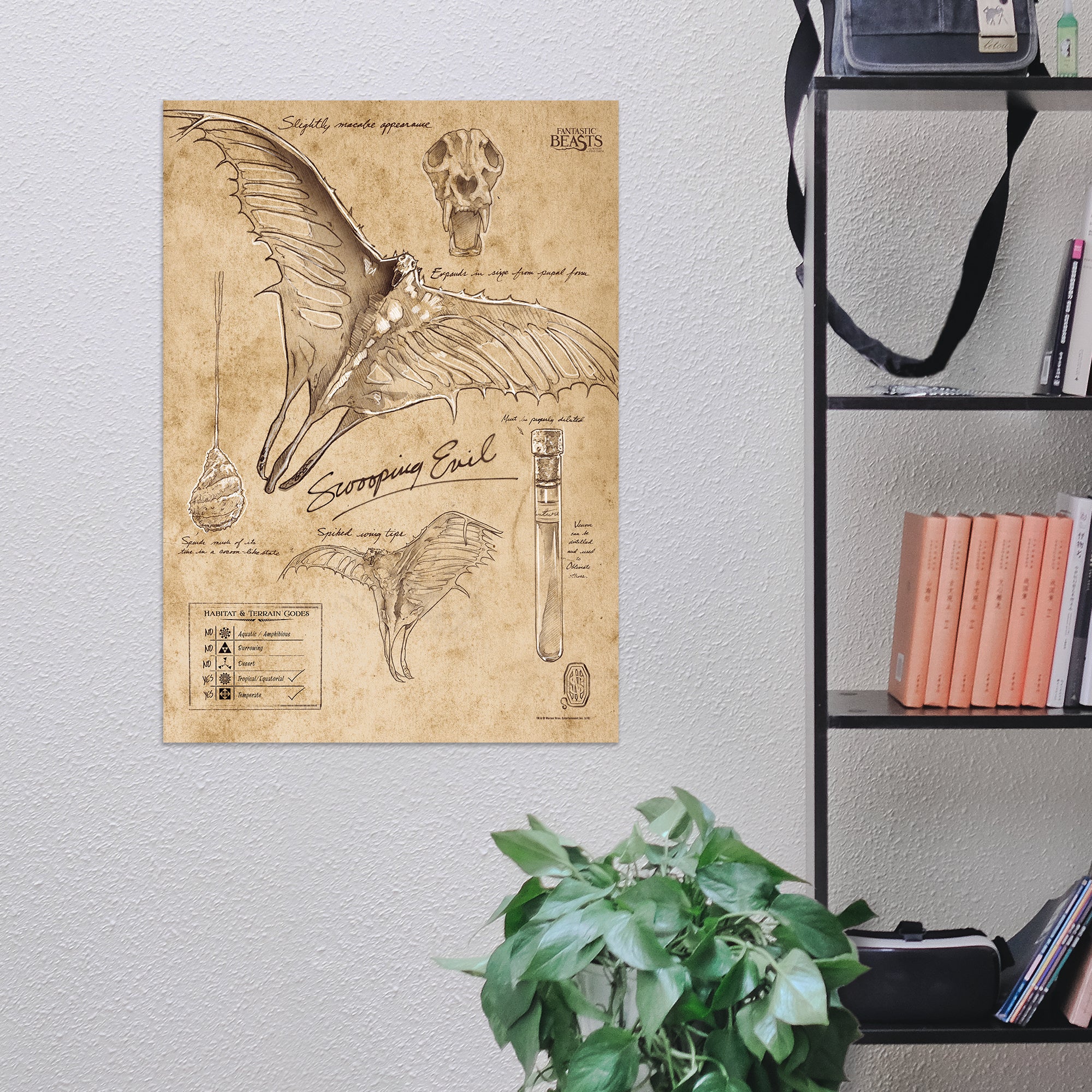Fantastic Beasts And Where To Find Them (Swooping Evil Sketchbook) MightyPrint™ Wall Art MP17240297