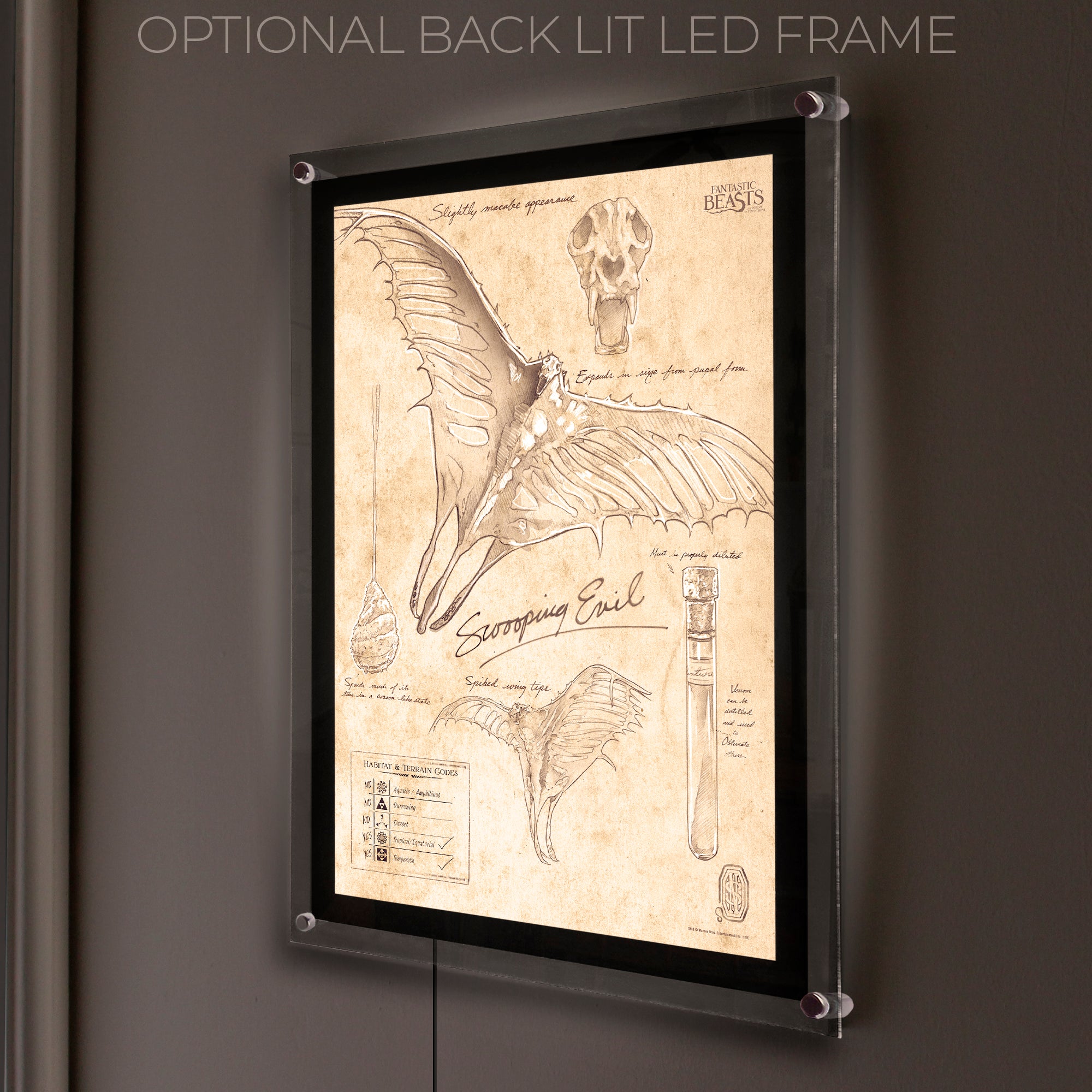 Fantastic Beasts And Where To Find Them (Swooping Evil Sketchbook) MightyPrint™ Wall Art MP17240297