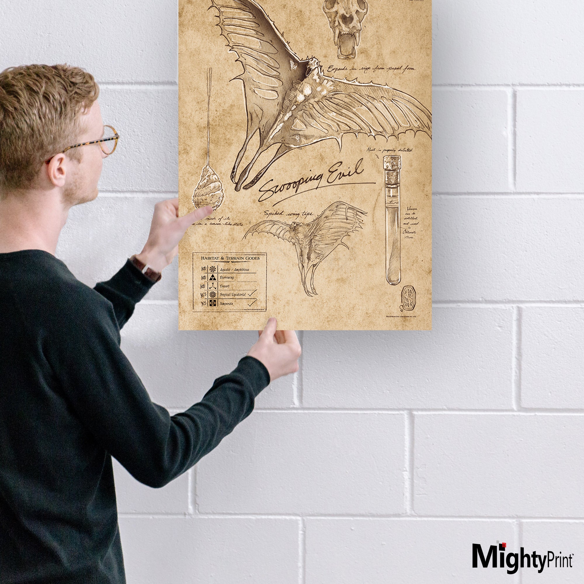 Fantastic Beasts And Where To Find Them (Swooping Evil Sketchbook) MightyPrint™ Wall Art MP17240297