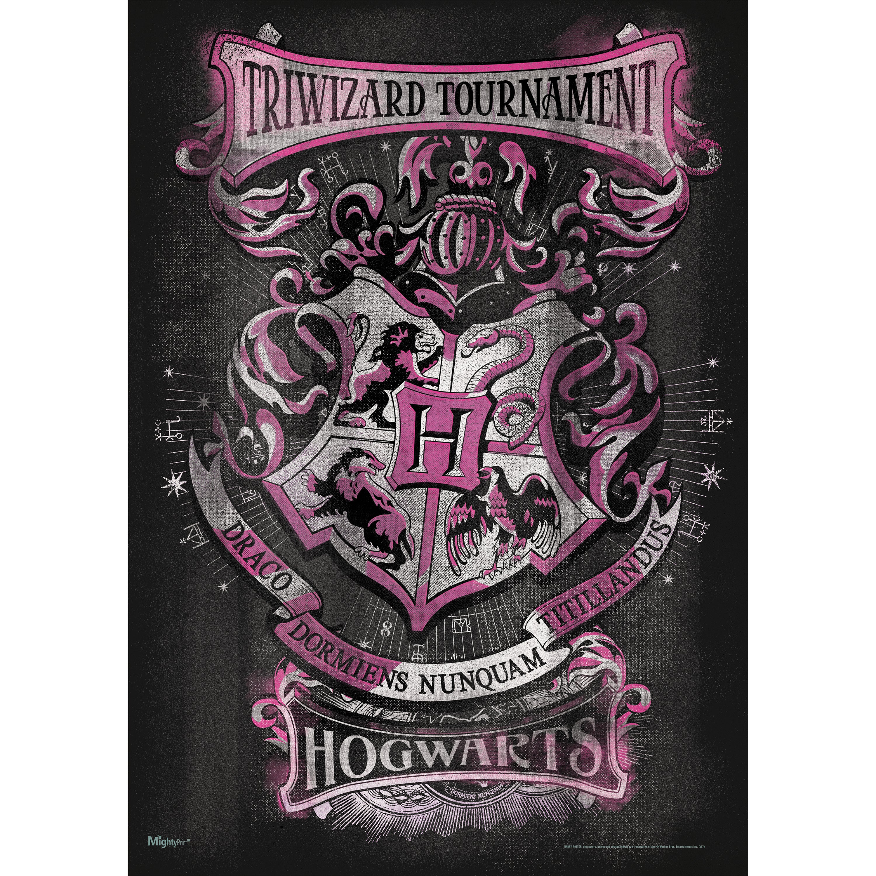 Harry Potter (Tri-Wizard - Hogwarts) MightyPrint™ Wall Art MP17240360