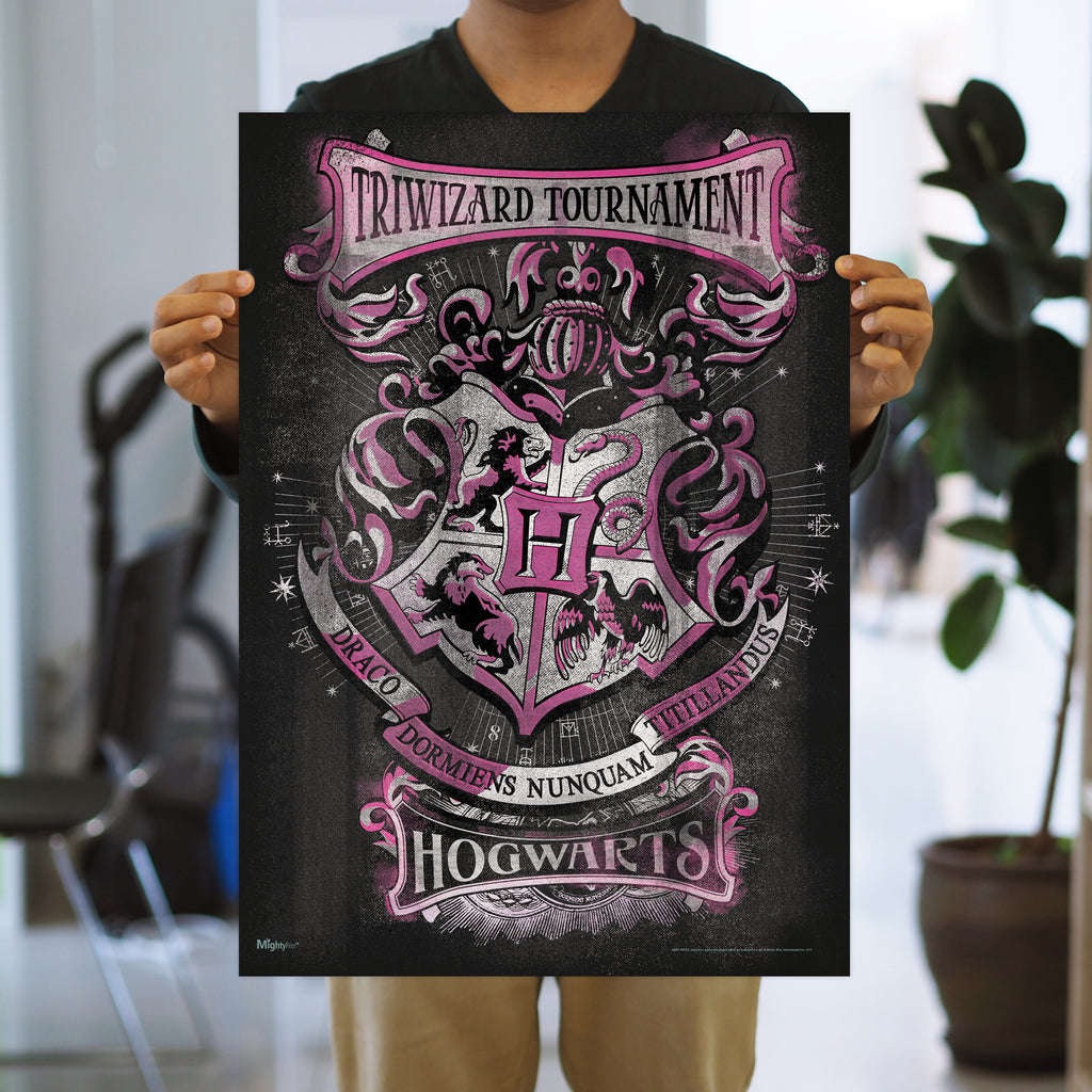 Harry Potter (Tri-Wizard - Hogwarts) MightyPrint™ Wall Art MP17240360