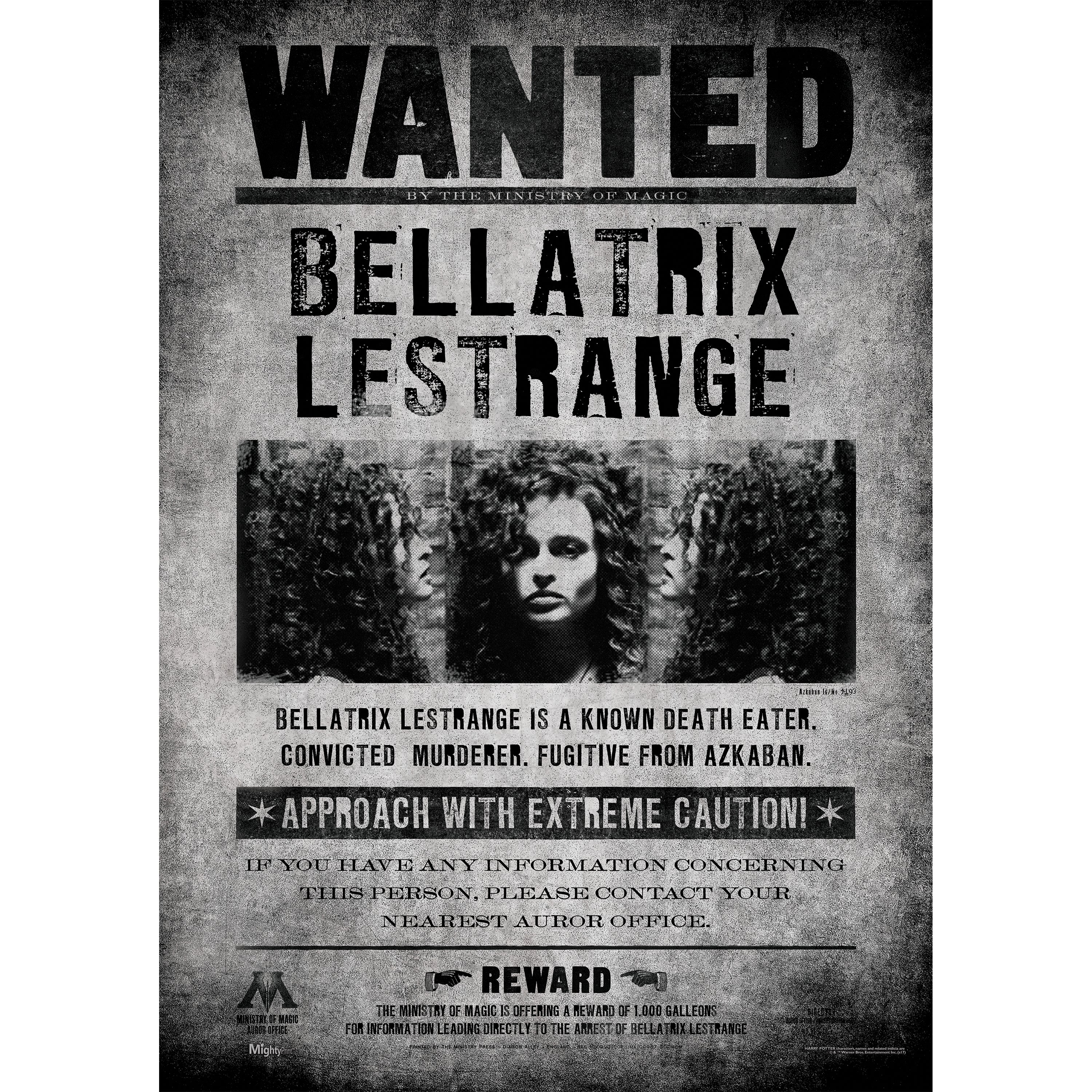 Harry Potter (Wanted Bellatrix Lestrange) MightyPrint™ Wall Art MP17240363