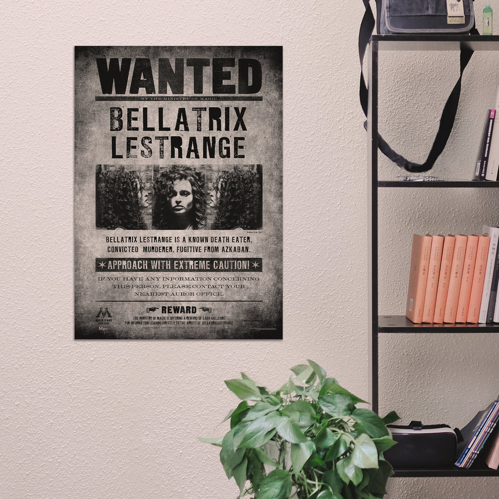 Harry Potter (Wanted Bellatrix Lestrange) MightyPrint™ Wall Art MP17240363