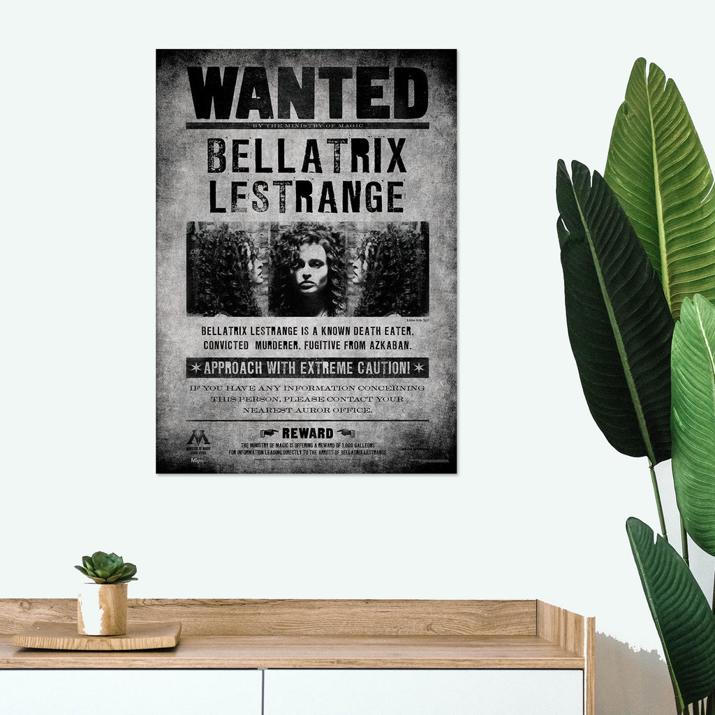 Harry Potter (Wanted Bellatrix Lestrange) MightyPrint™ Wall Art MP17240363