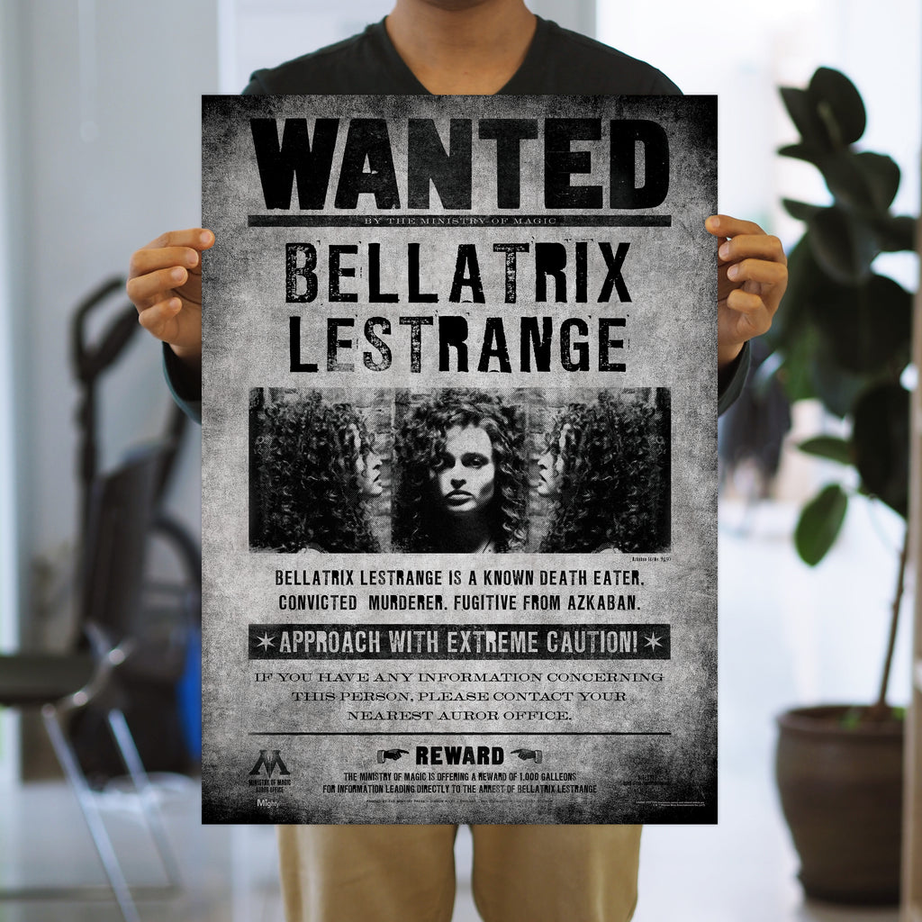 Harry Potter (Wanted Bellatrix Lestrange) MightyPrint™ Wall Art MP17240363