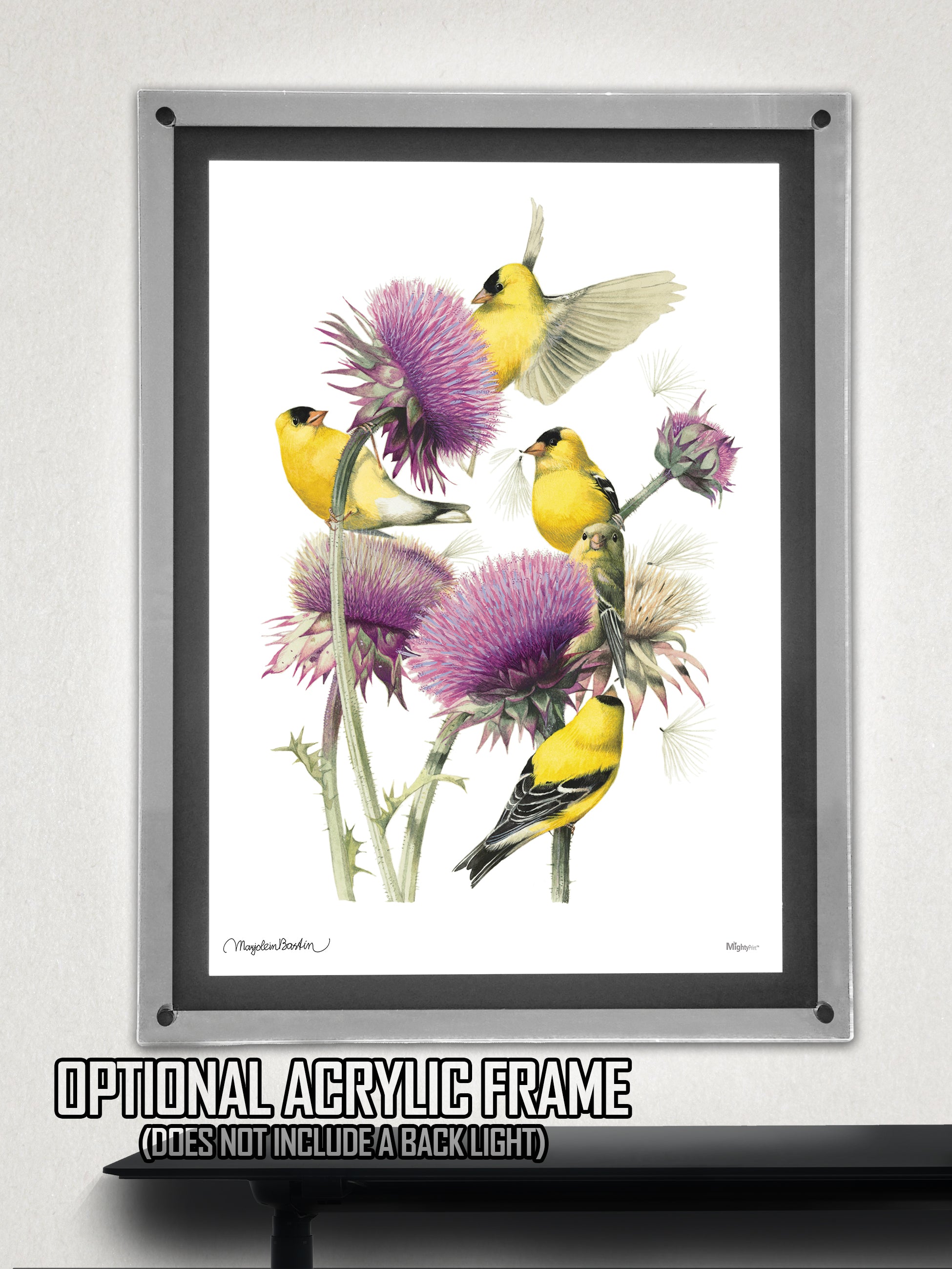 Marjolein Bastin (American Goldfinch) MightyPrint™ Wall Art MP17240393