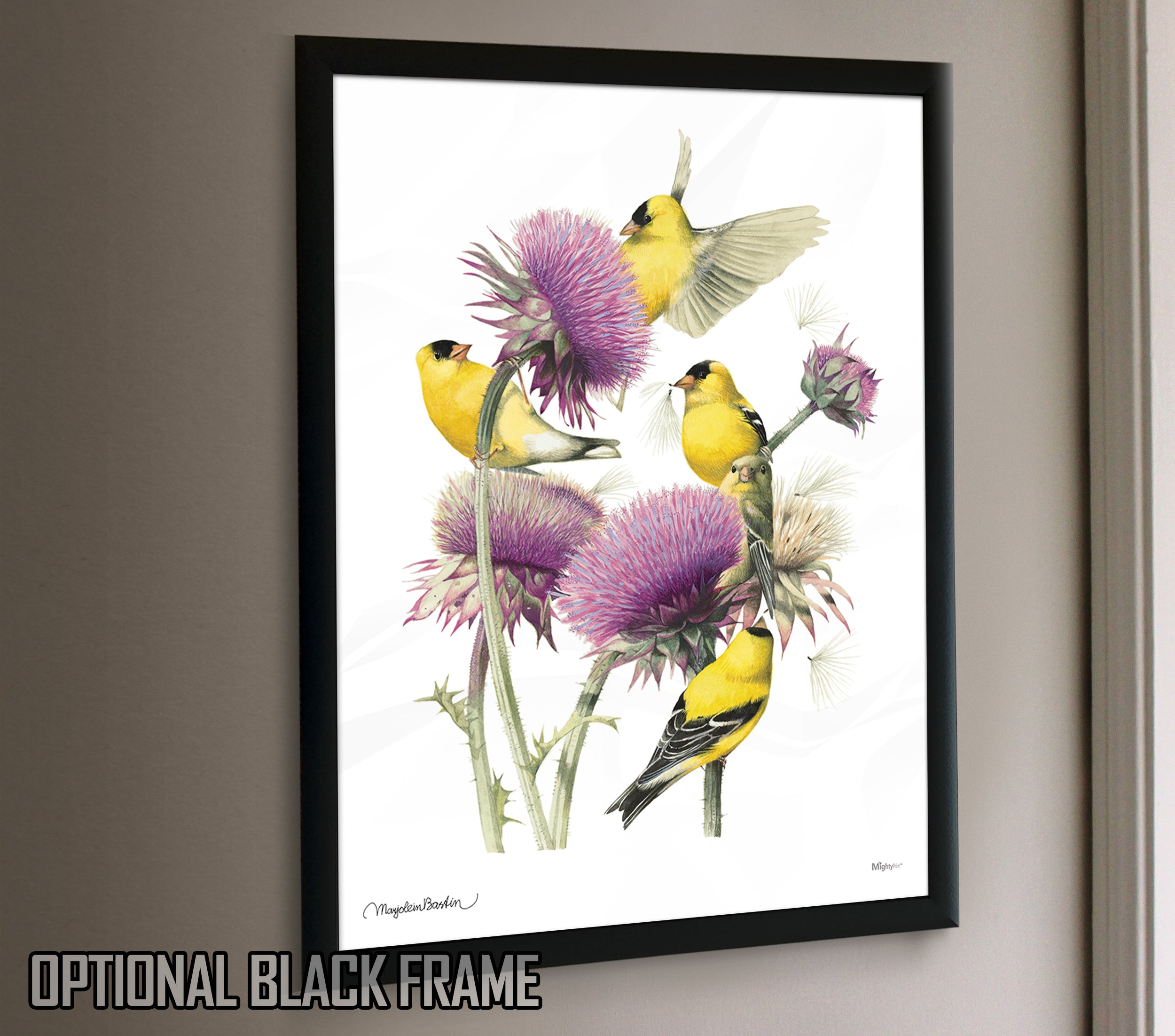 Marjolein Bastin (American Goldfinch) MightyPrint™ Wall Art MP17240393