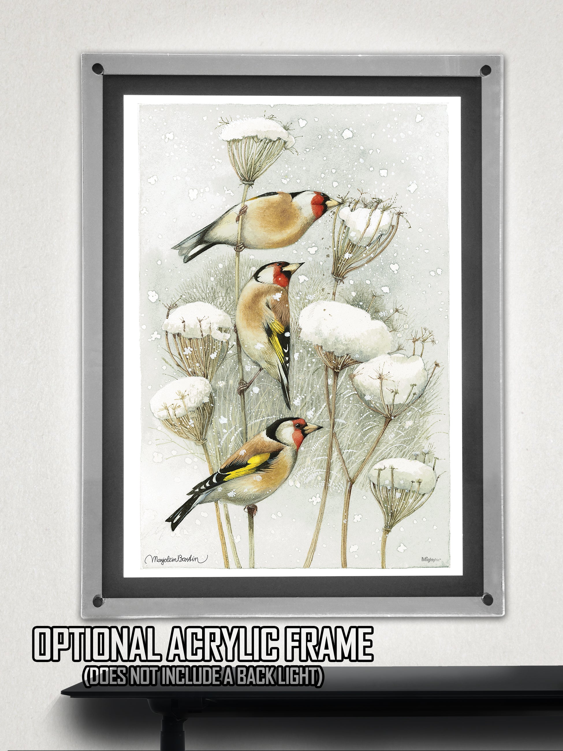 Marjolein Bastin (European Goldfinch) MightyPrint™ Wall Art MP17240394