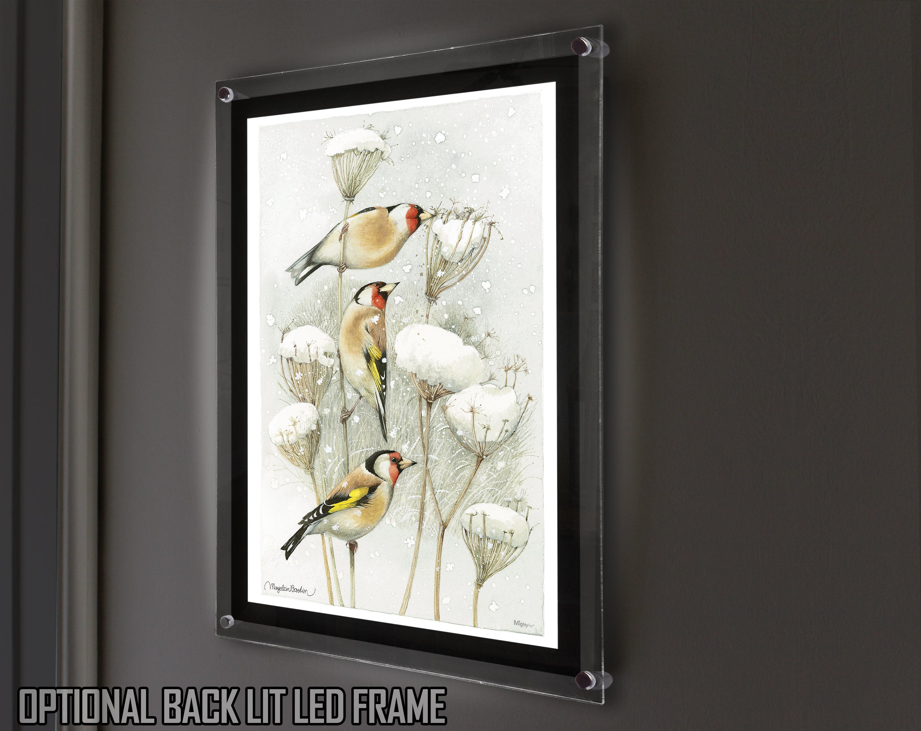 Marjolein Bastin (European Goldfinch) MightyPrint™ Wall Art MP17240394