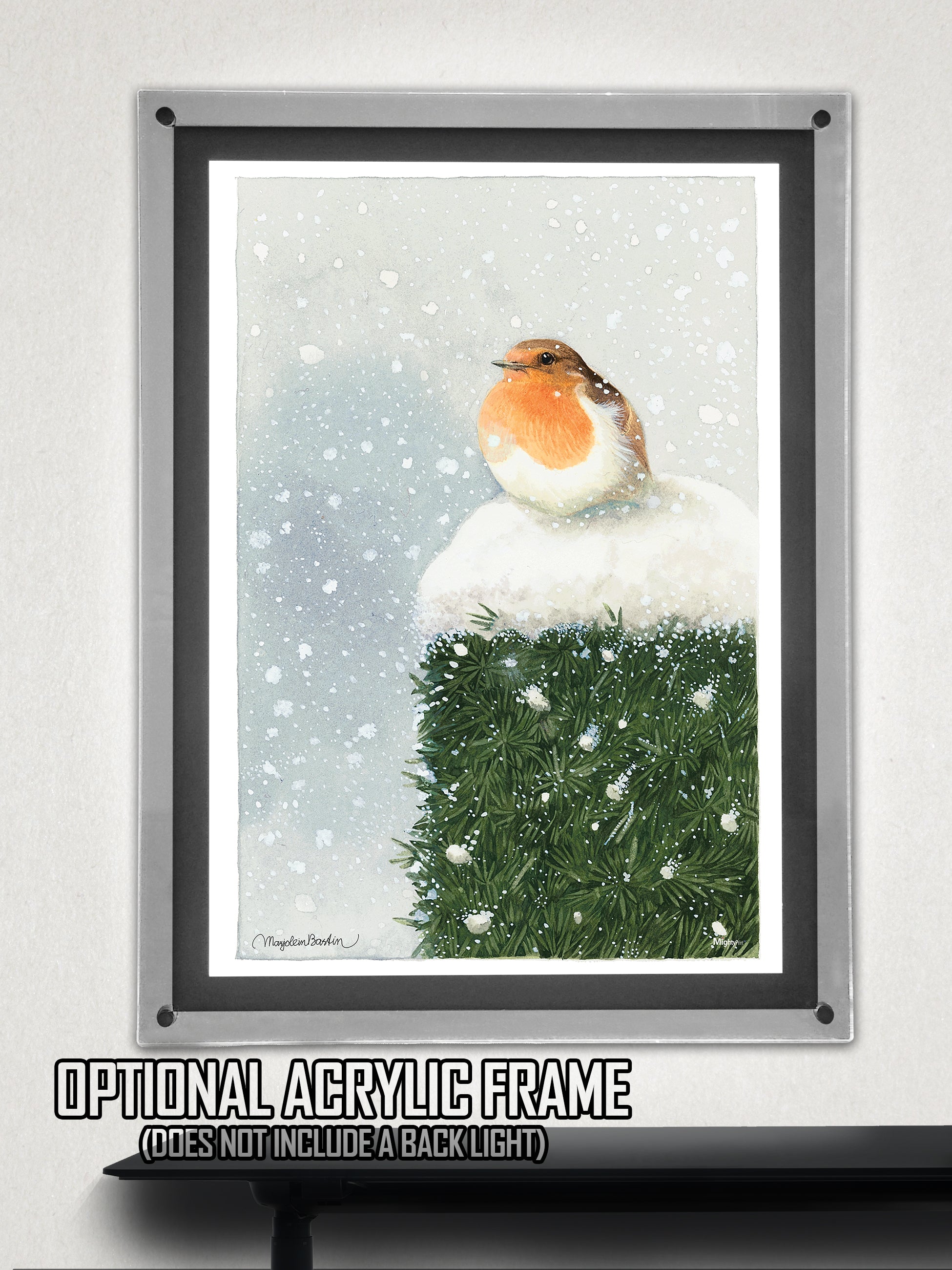 Marjolein Bastin (Red Breasted Robin) MightyPrint™ Wall Art MP17240396