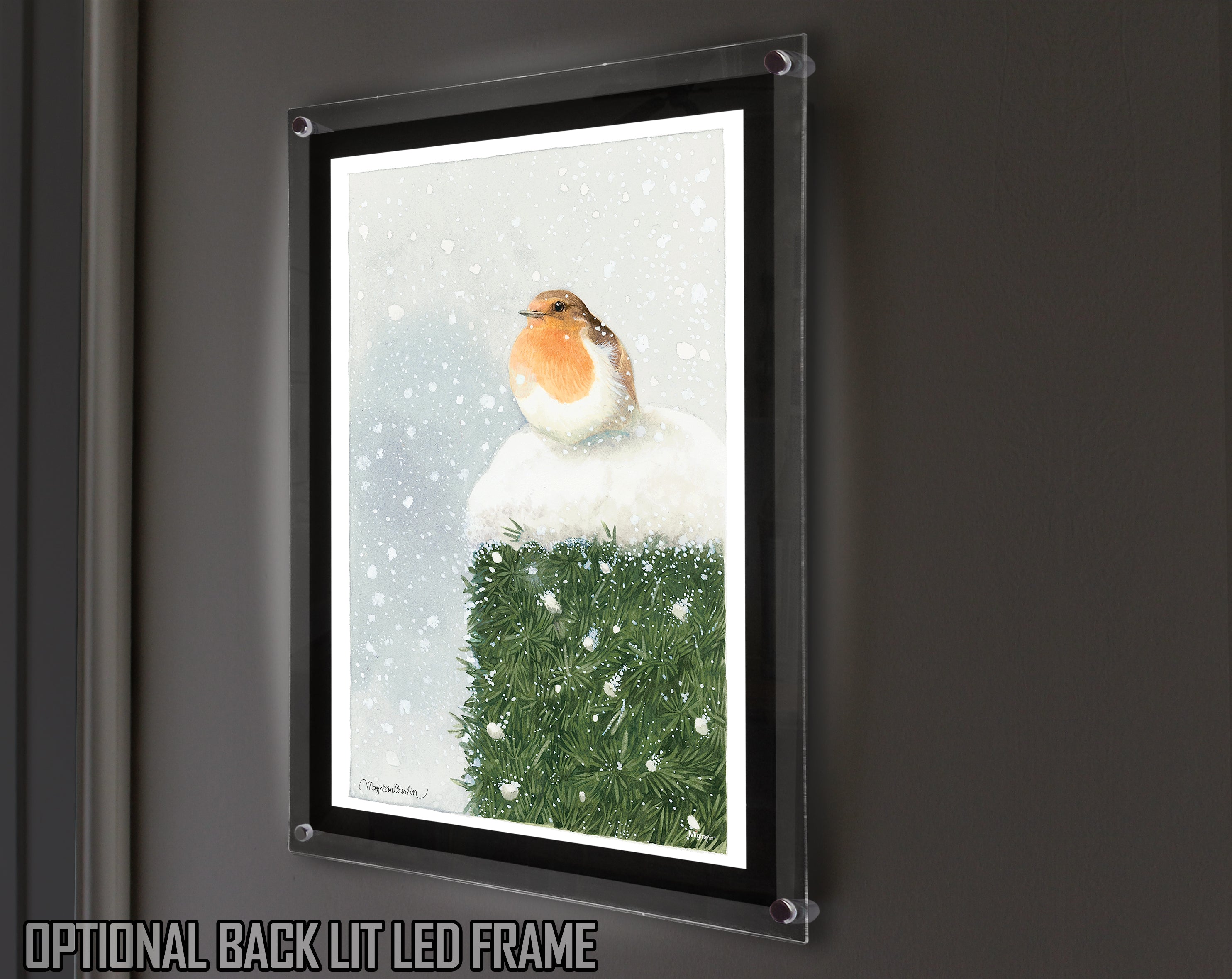 Marjolein Bastin (Red Breasted Robin) MightyPrint™ Wall Art MP17240396