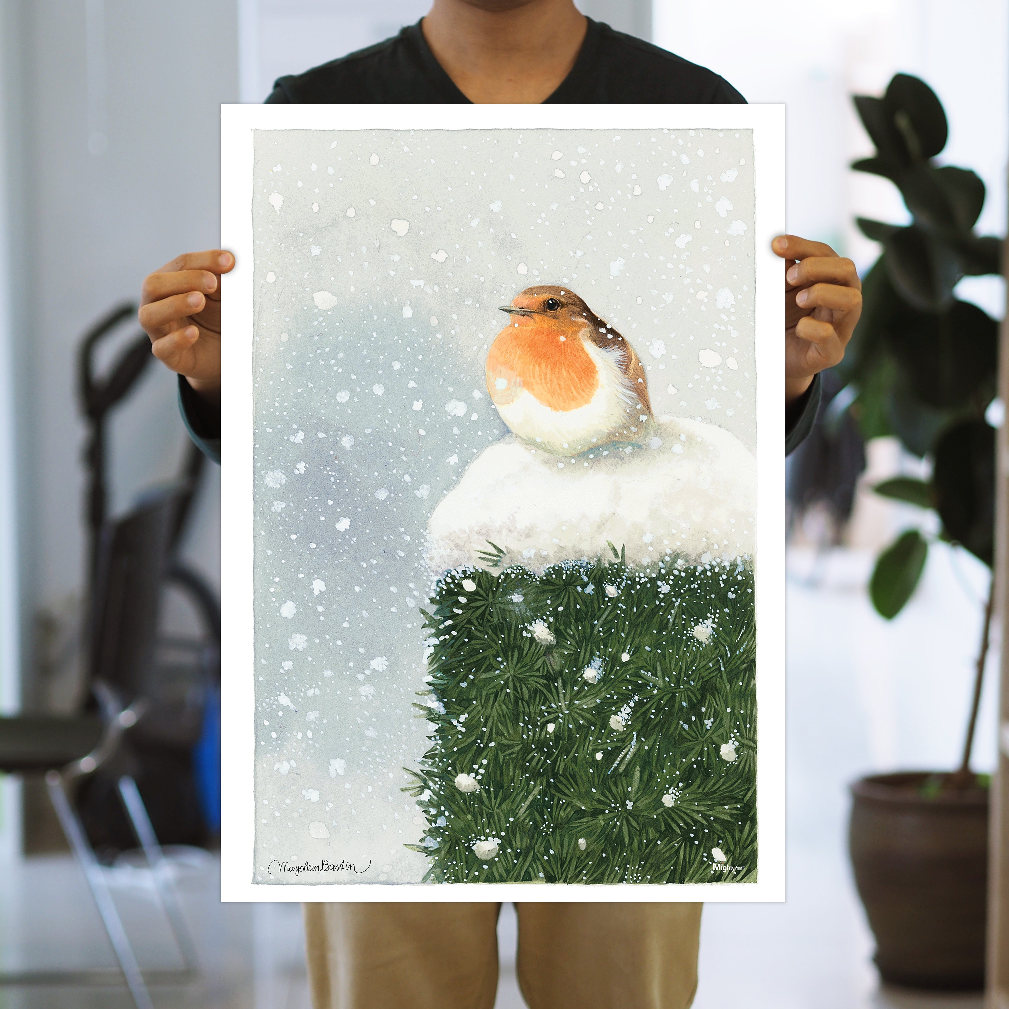 Marjolein Bastin (Red Breasted Robin) MightyPrint™ Wall Art MP17240396