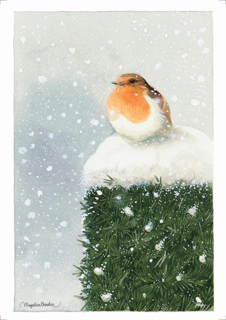 Marjolein Bastin (Red Breasted Robin) MightyPrint™ Wall Art MP17240396