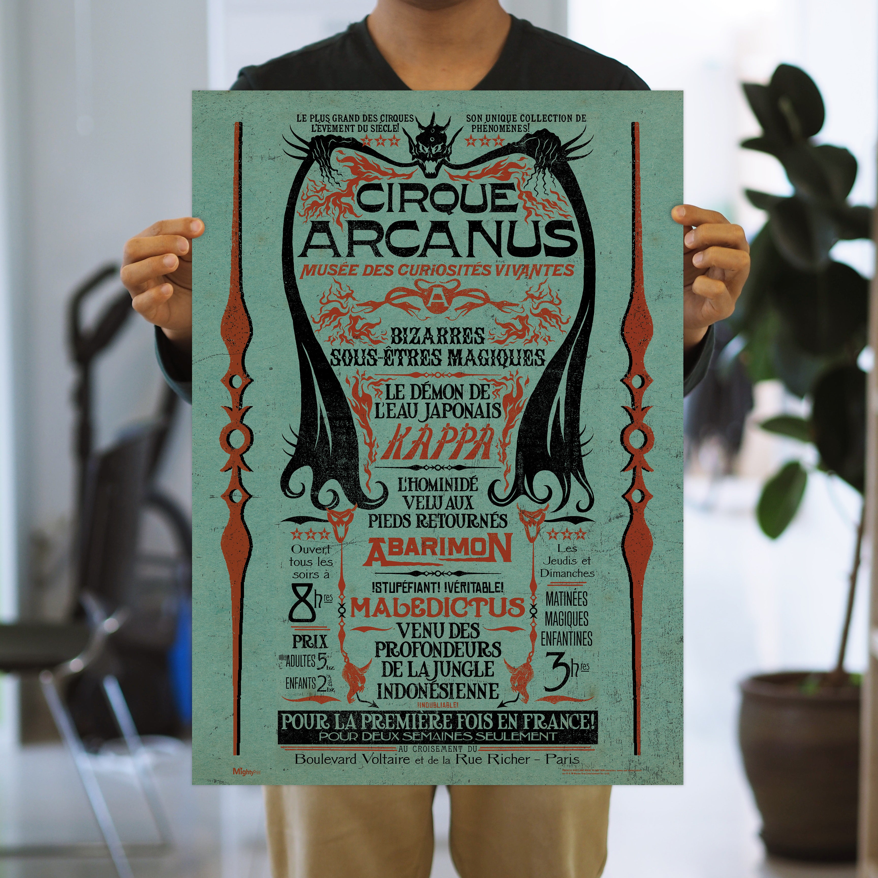 Fantastic Beasts: The Crimes of Grindelwald (Circus Arcanus) MightyPrint™ Wall Art MP17240496