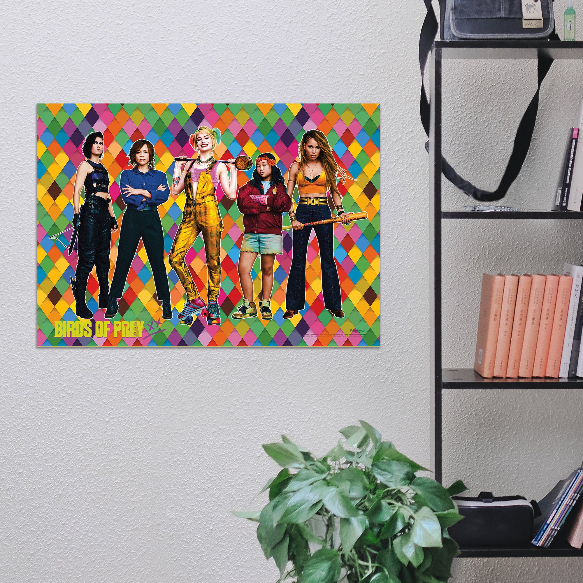 Birds of Prey (Birds of Prey) MightyPrint™ Wall Art MP17240560