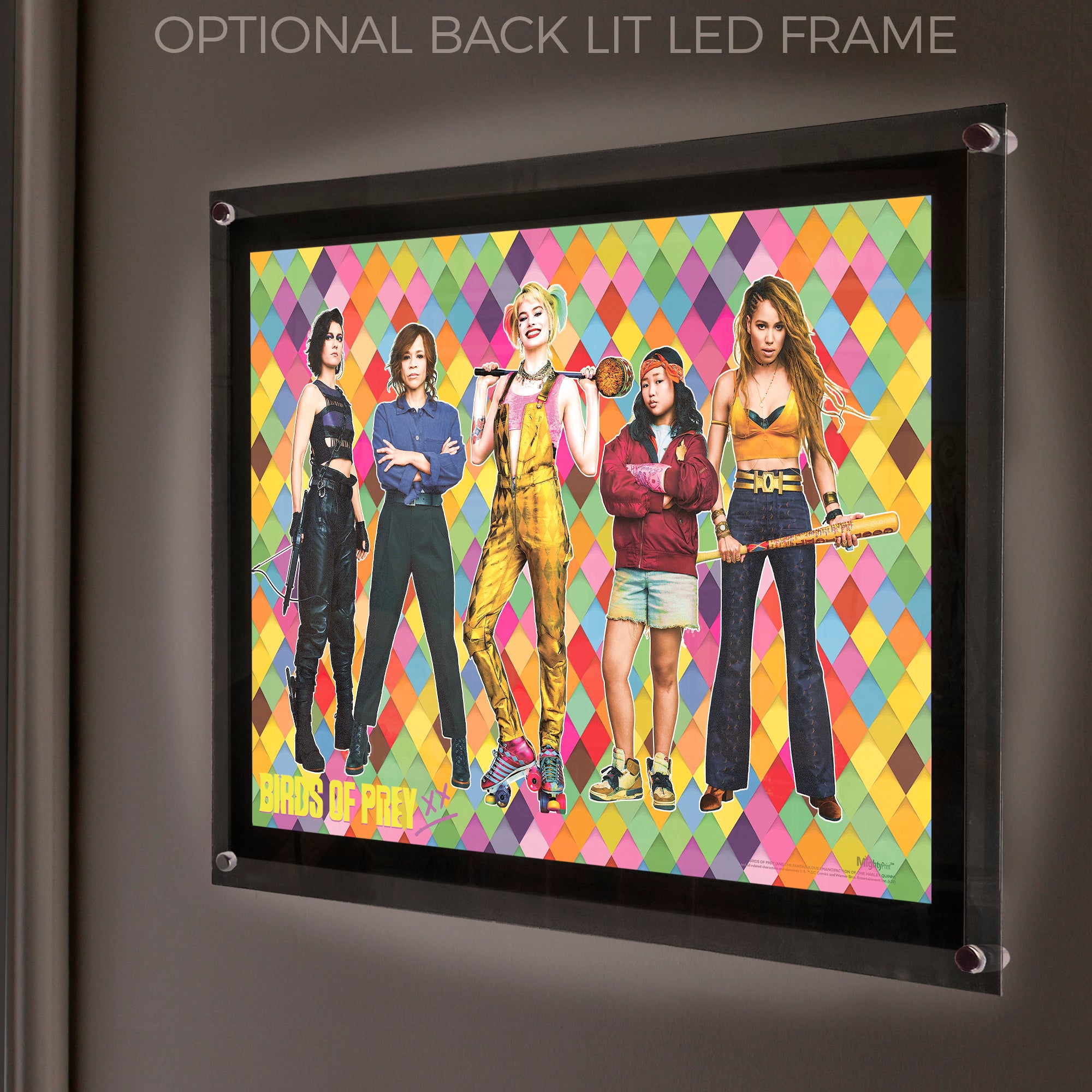 Birds of Prey (Birds of Prey) MightyPrint™ Wall Art MP17240560