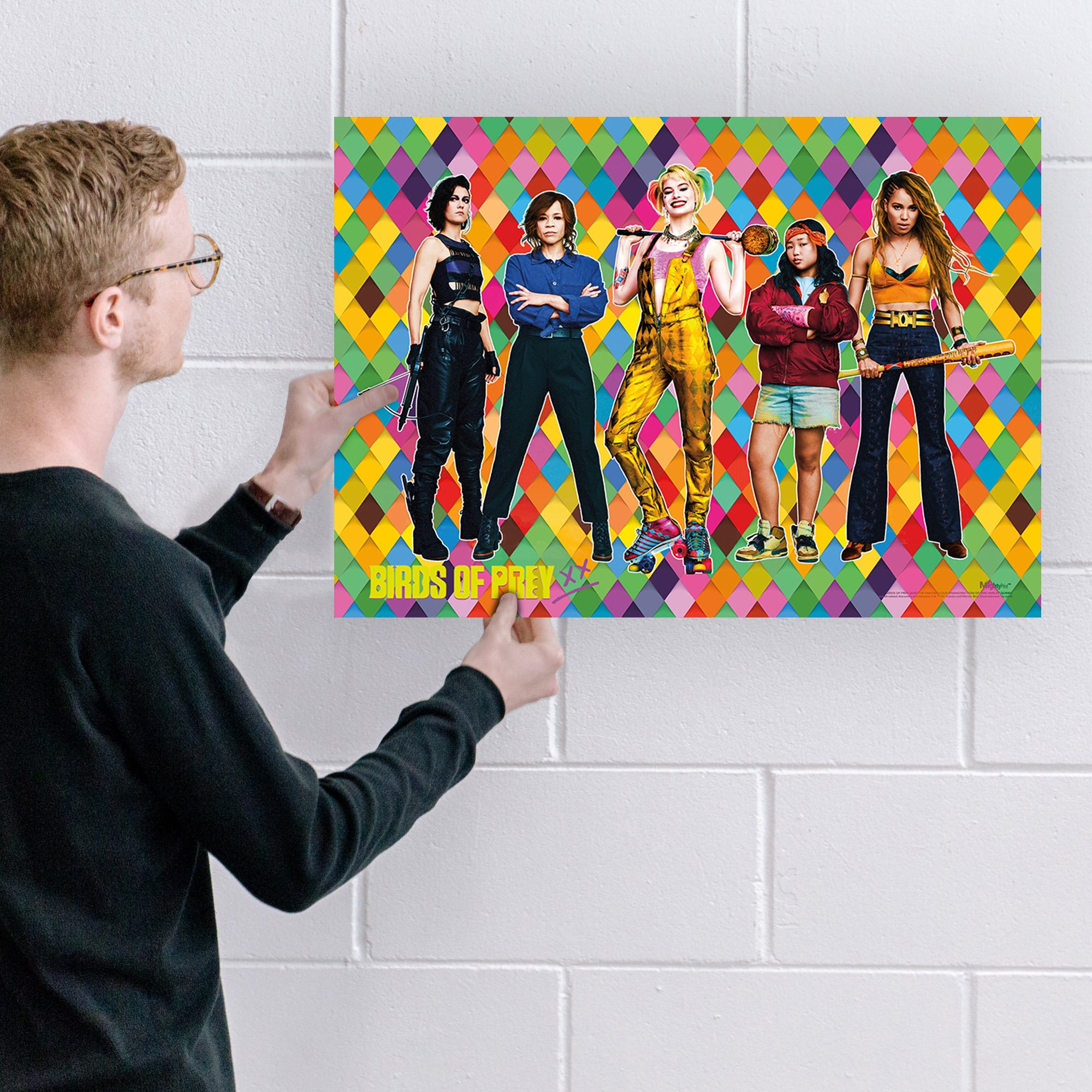 Birds of Prey (Birds of Prey) MightyPrint™ Wall Art MP17240560