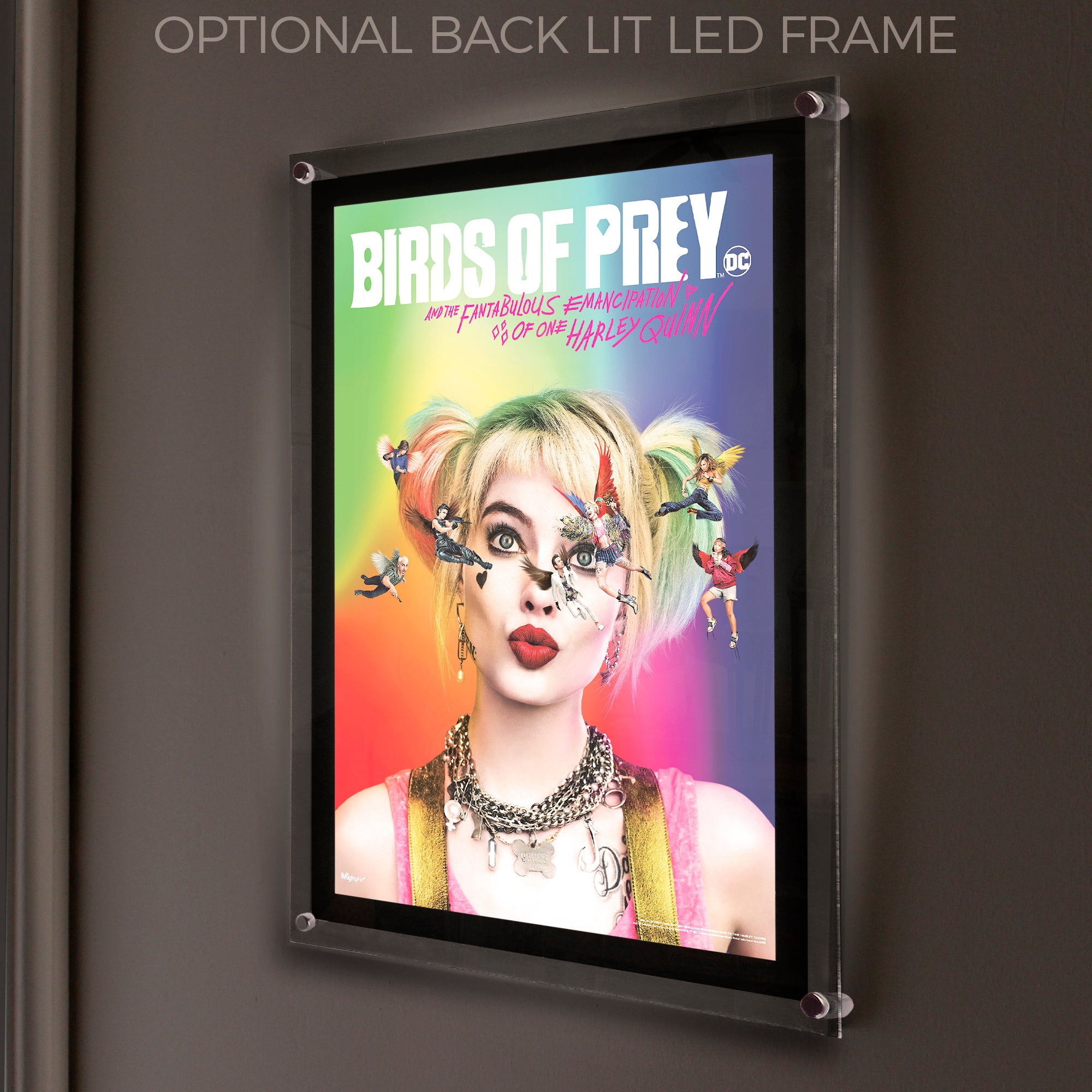 Birds of Prey (Harley Quinn) MightyPrint™ Wall Art MP17240564