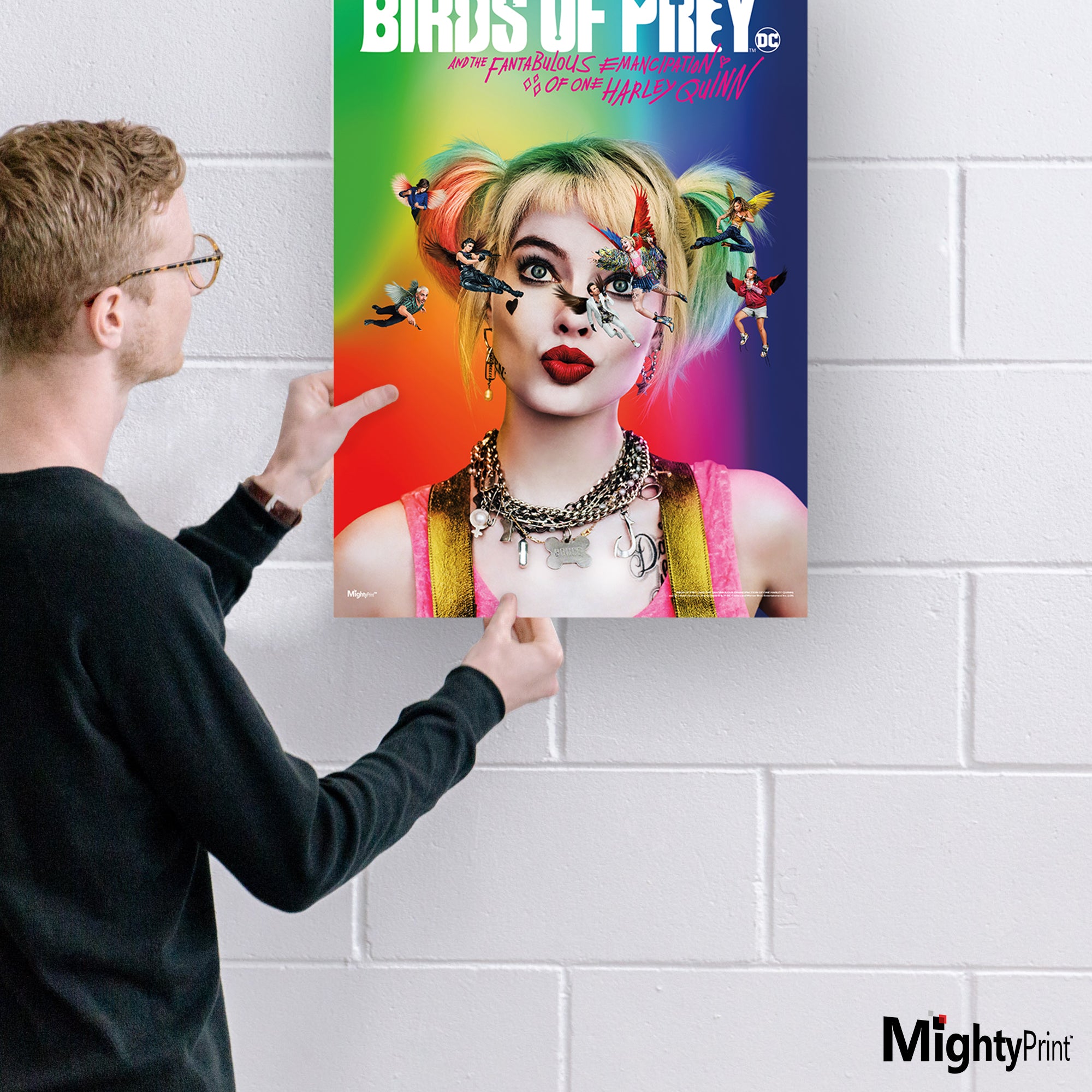 Birds of Prey (Harley Quinn) MightyPrint™ Wall Art MP17240564