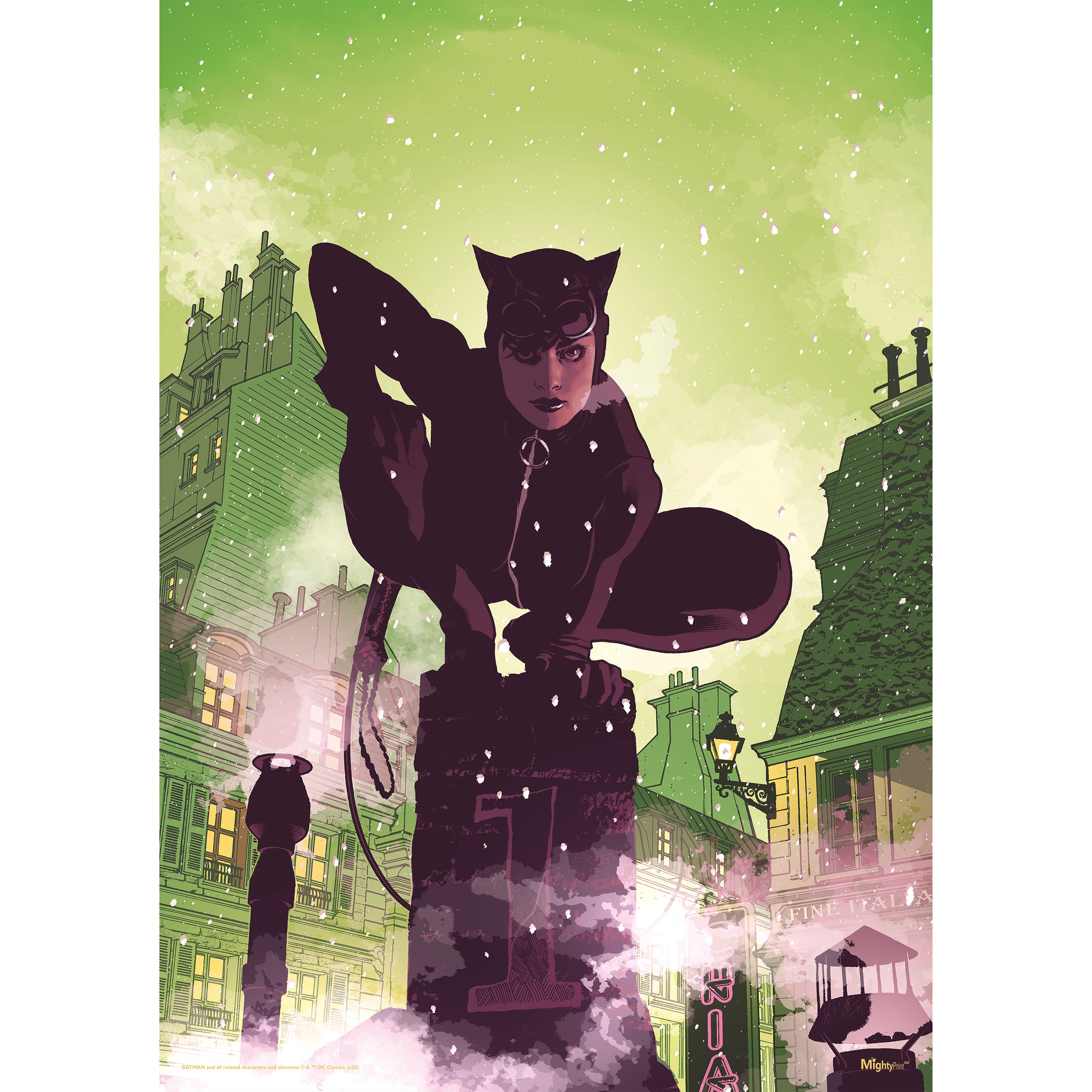 DC Comics (Catwoman - Chimney Stacks) MightyPrint™ Wall Art MP17240573