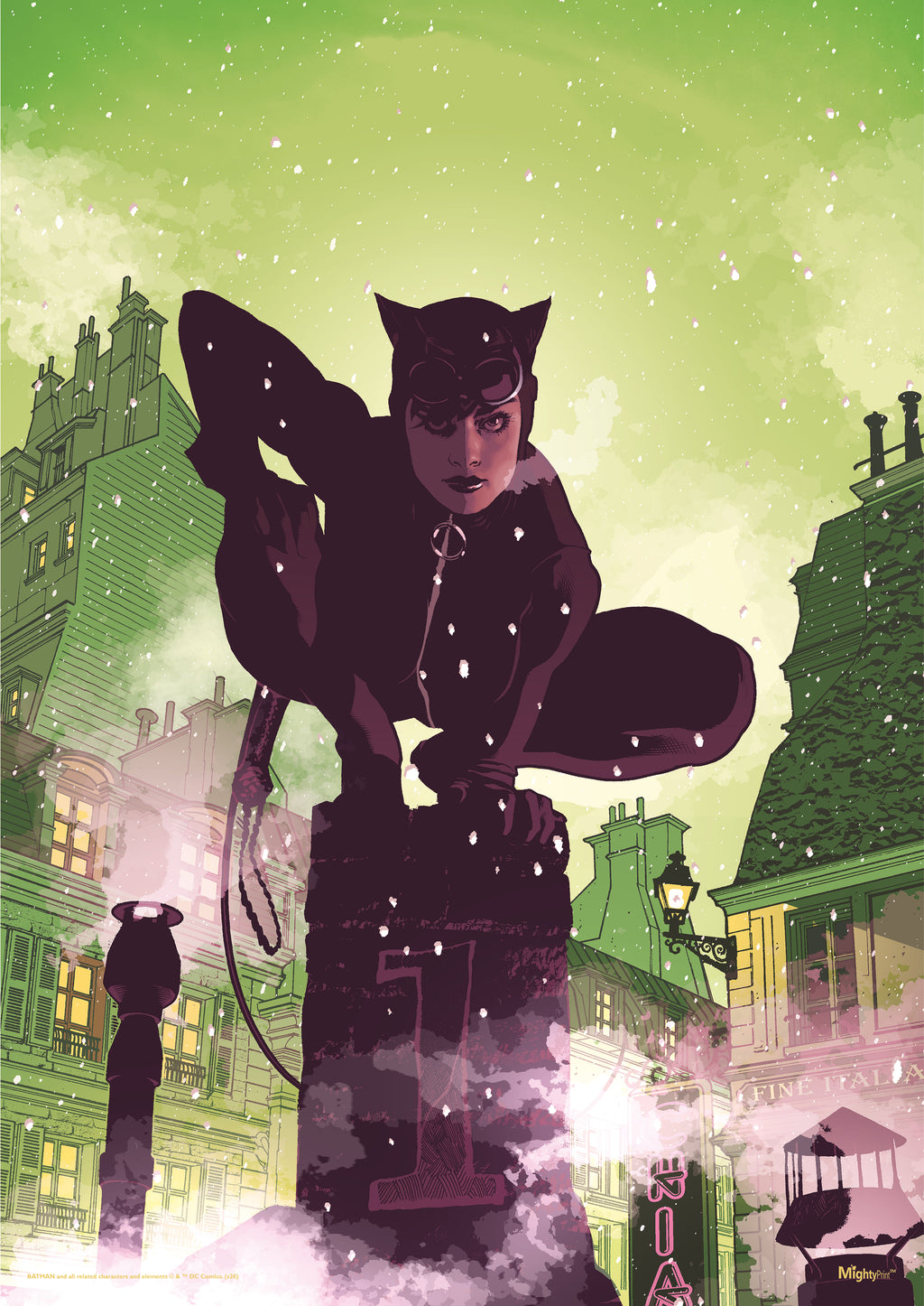 DC Comics (Catwoman - Chimney Stacks) MightyPrint™ Wall Art MP17240573