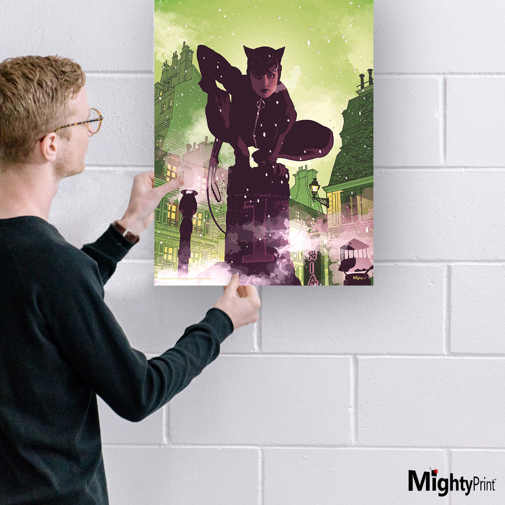 DC Comics (Catwoman - Chimney Stacks) MightyPrint™ Wall Art MP17240573